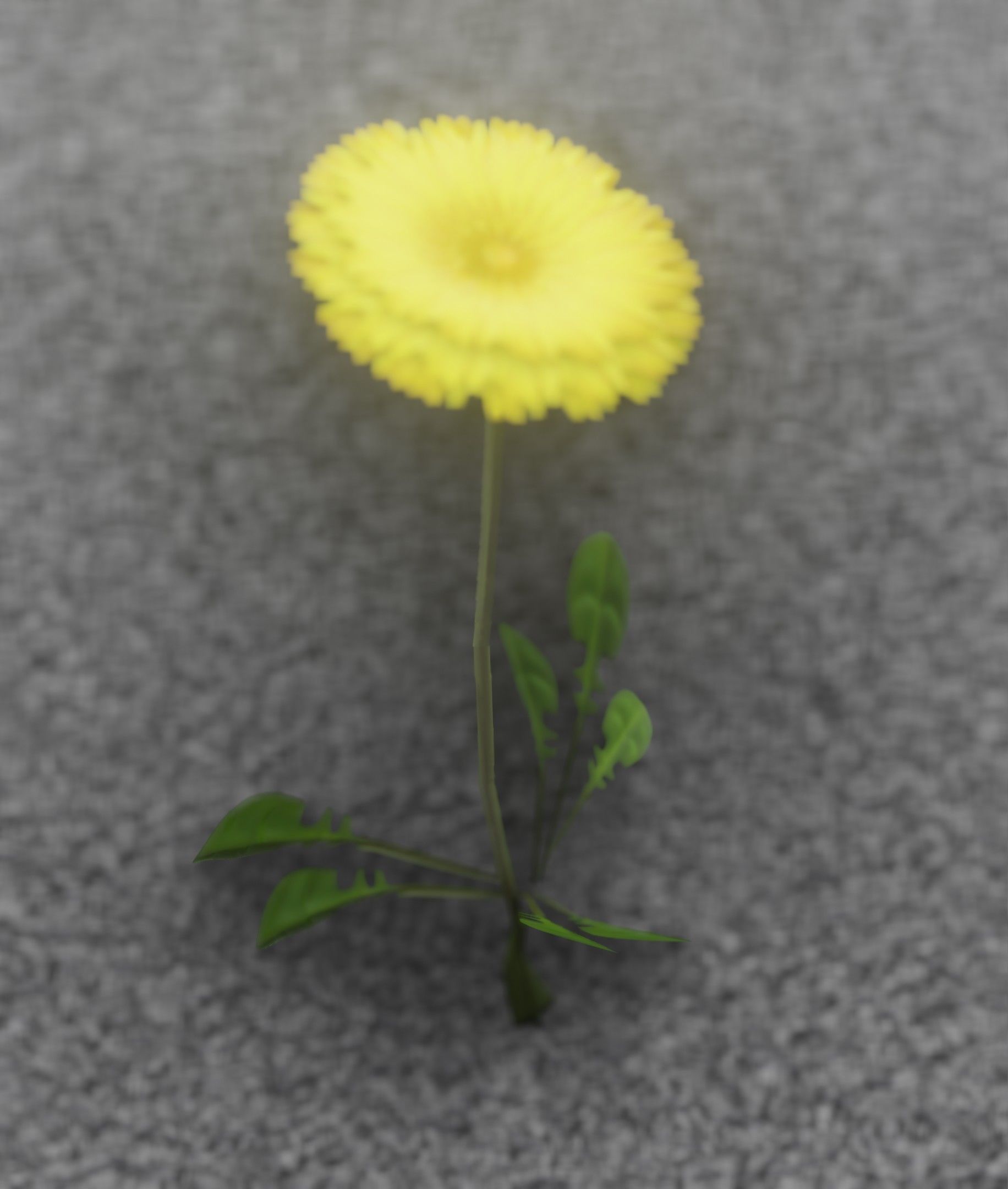 Low-Poly Dandelion Flower Version 2 - Object 8 Low-poly 3D model_8