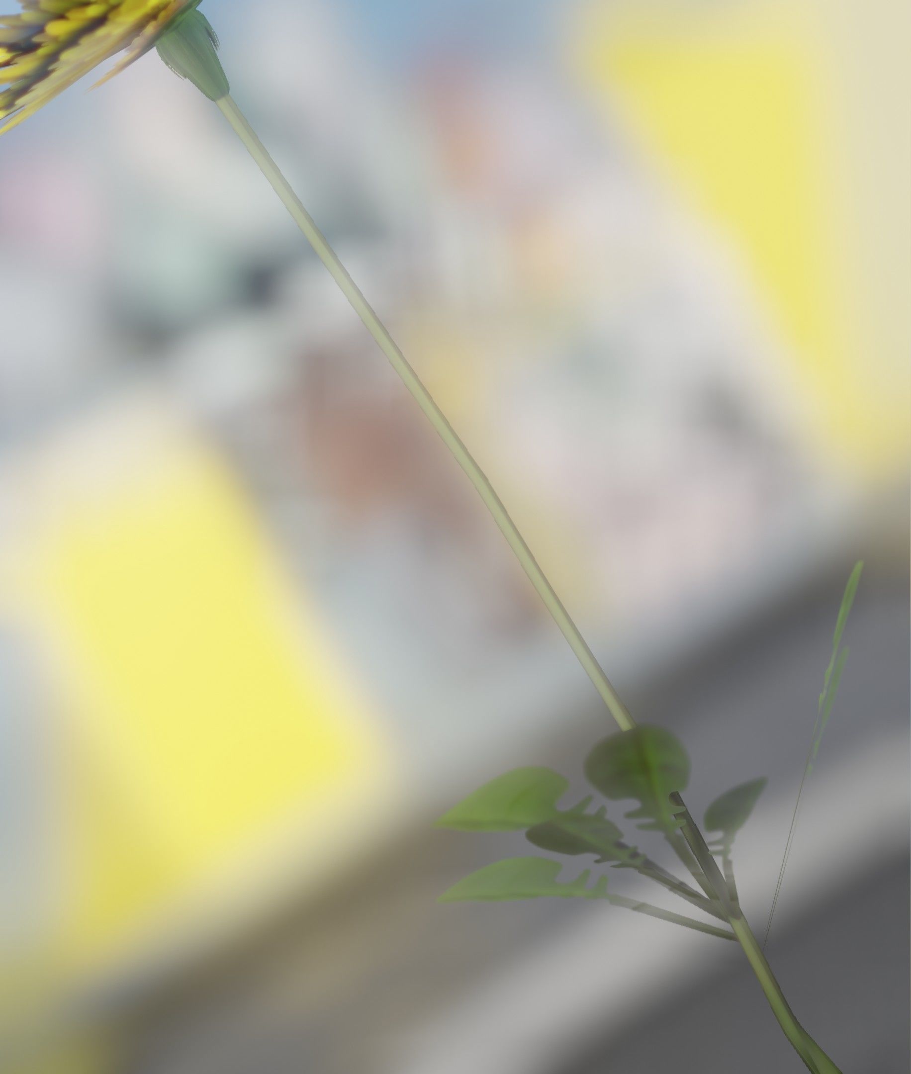 Low-Poly Dandelion Flower Version 3 - Object 9 Low-poly 3D model_20