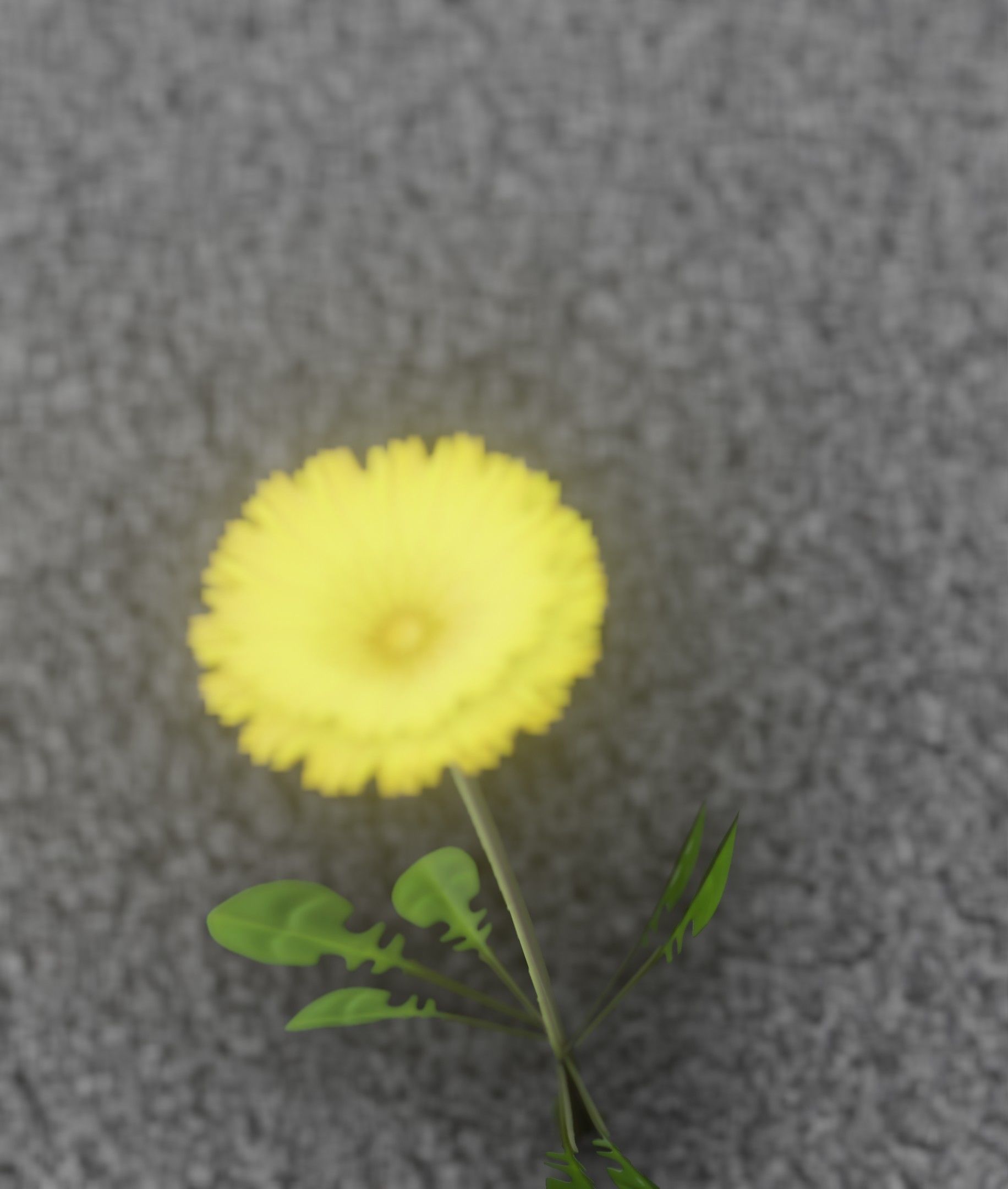 Low-Poly Dandelion Flower Version 3 - Object 9 Low-poly 3D model_10