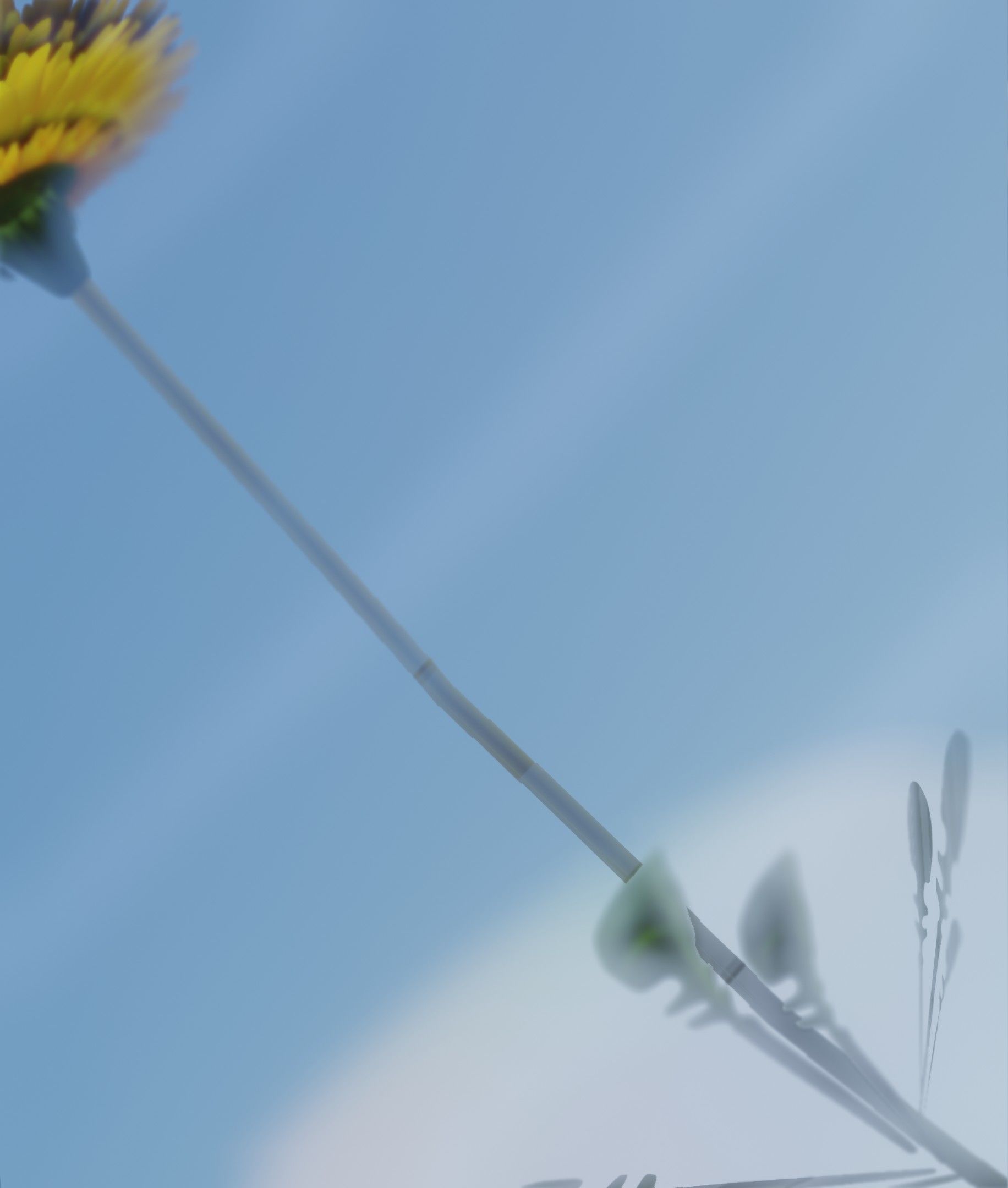 Low-Poly Dandelion Flower Version 3 - Object 9 Low-poly 3D model_3