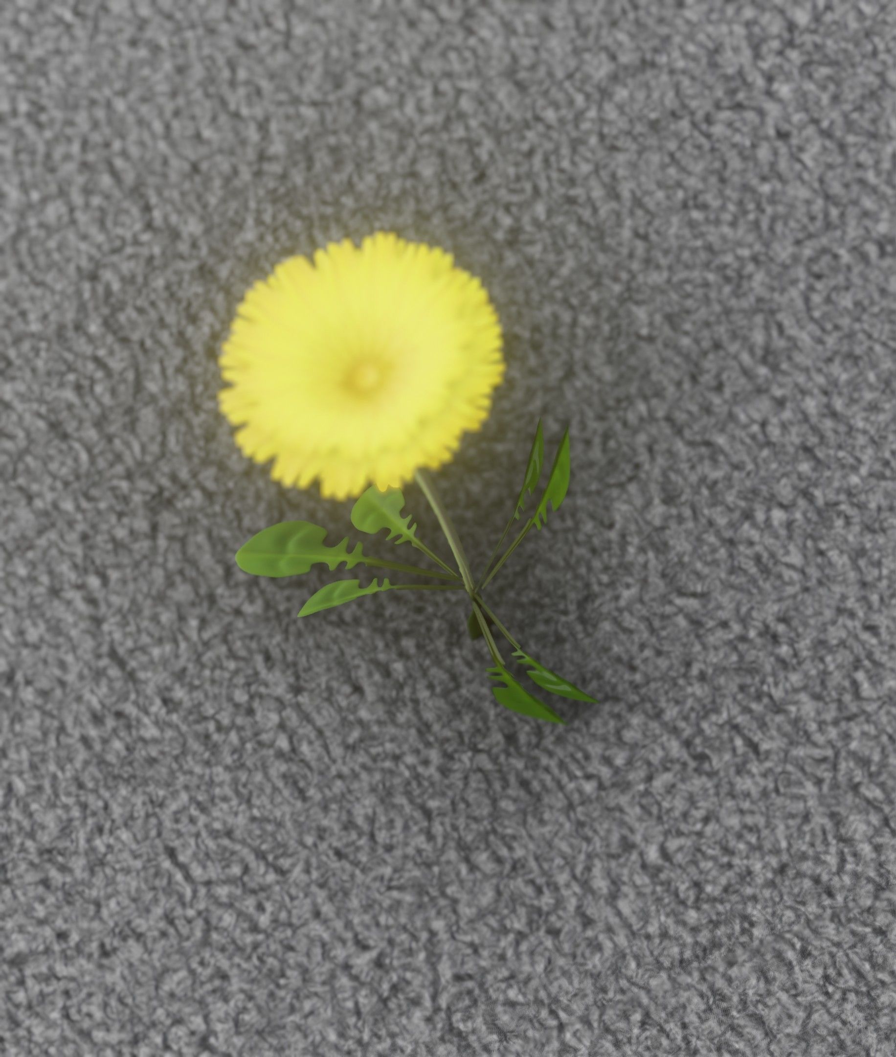 Low-Poly Dandelion Flower Version 3 - Object 9 Low-poly 3D model_26