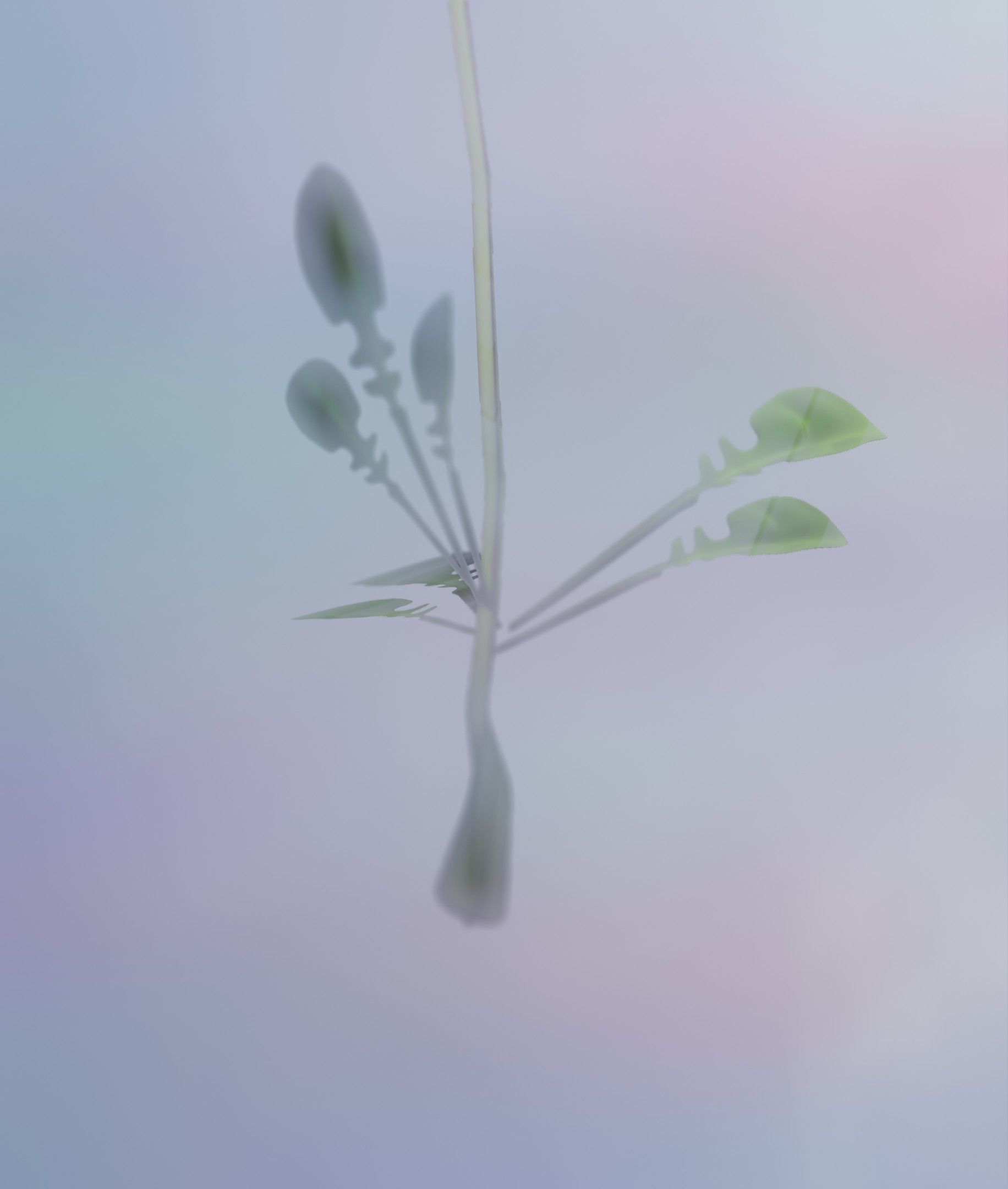 Low-Poly Dandelion Flower Version 3 - Object 9 Low-poly 3D model_42