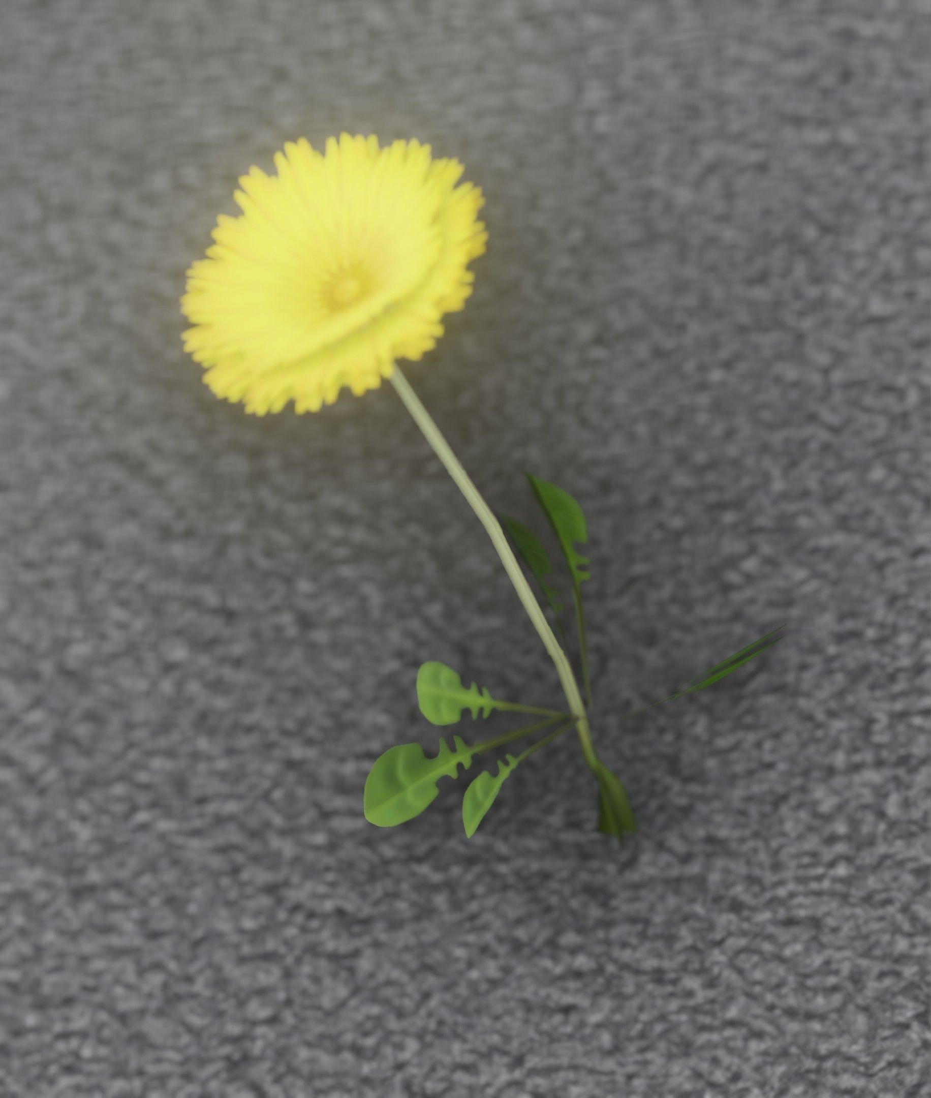 Low-Poly Dandelion Flower Version 3 - Object 9 Low-poly 3D model_24