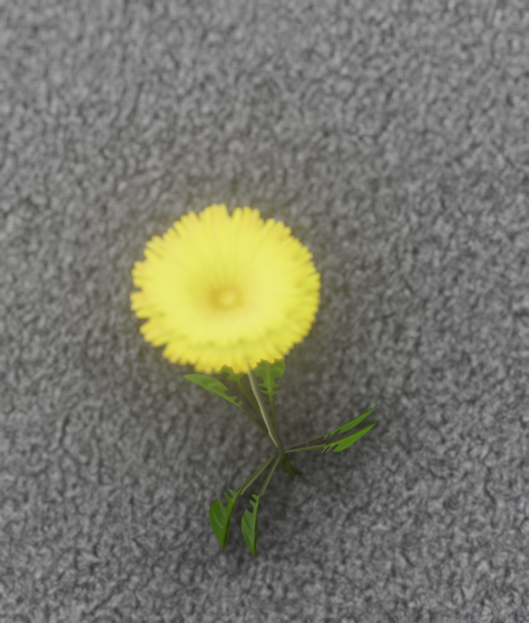 Low-Poly Dandelion Flower Version 3 - Object 9 Low-poly 3D model_29