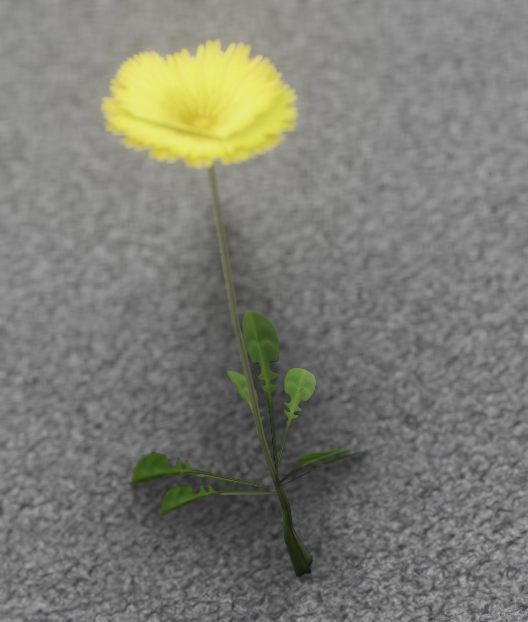 Low-Poly Dandelion Flower Version 3 - Object 9 Low-poly 3D model_31