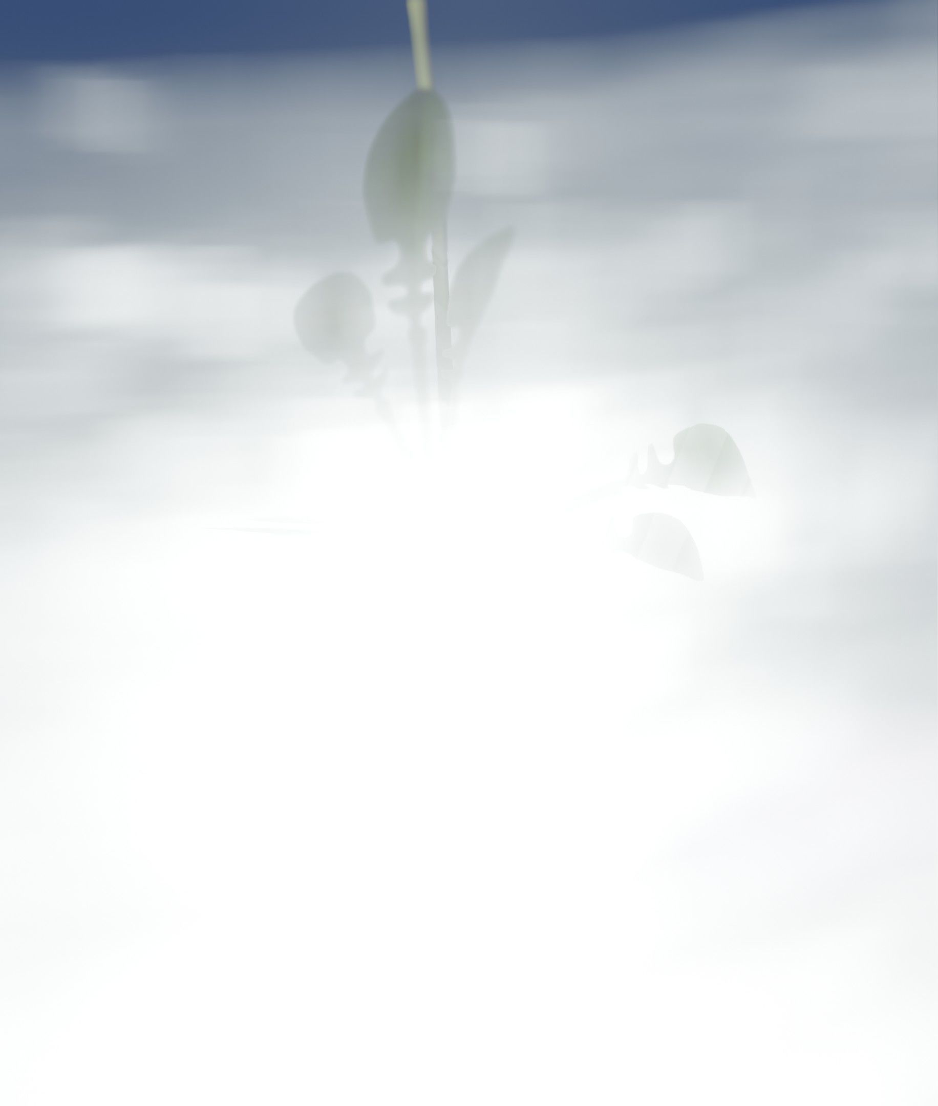 Low-Poly Dandelion Flower Version 3 - Object 9 Low-poly 3D model_41