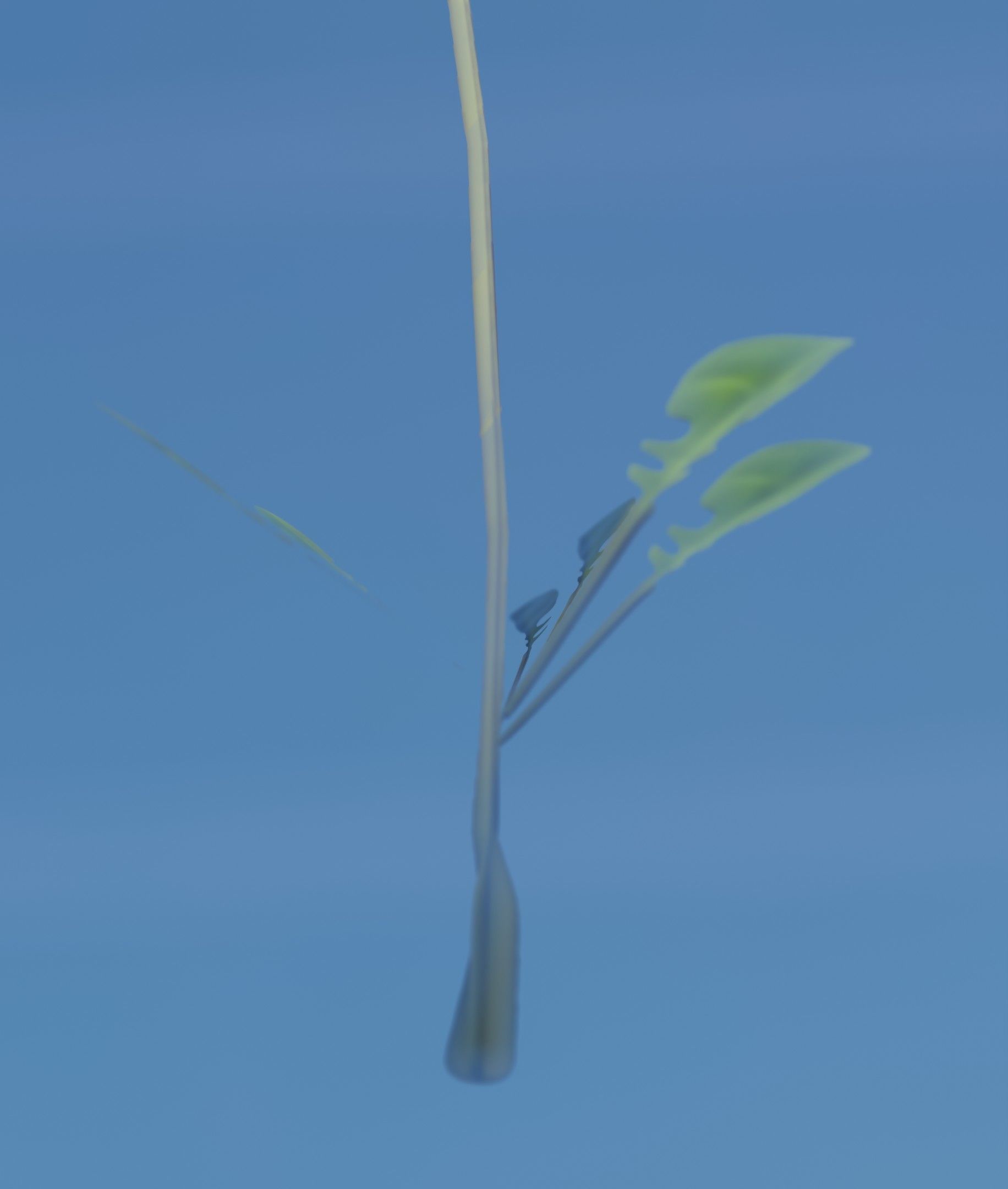 Low-Poly Dandelion Flower Version 3 - Object 9 Low-poly 3D model_44