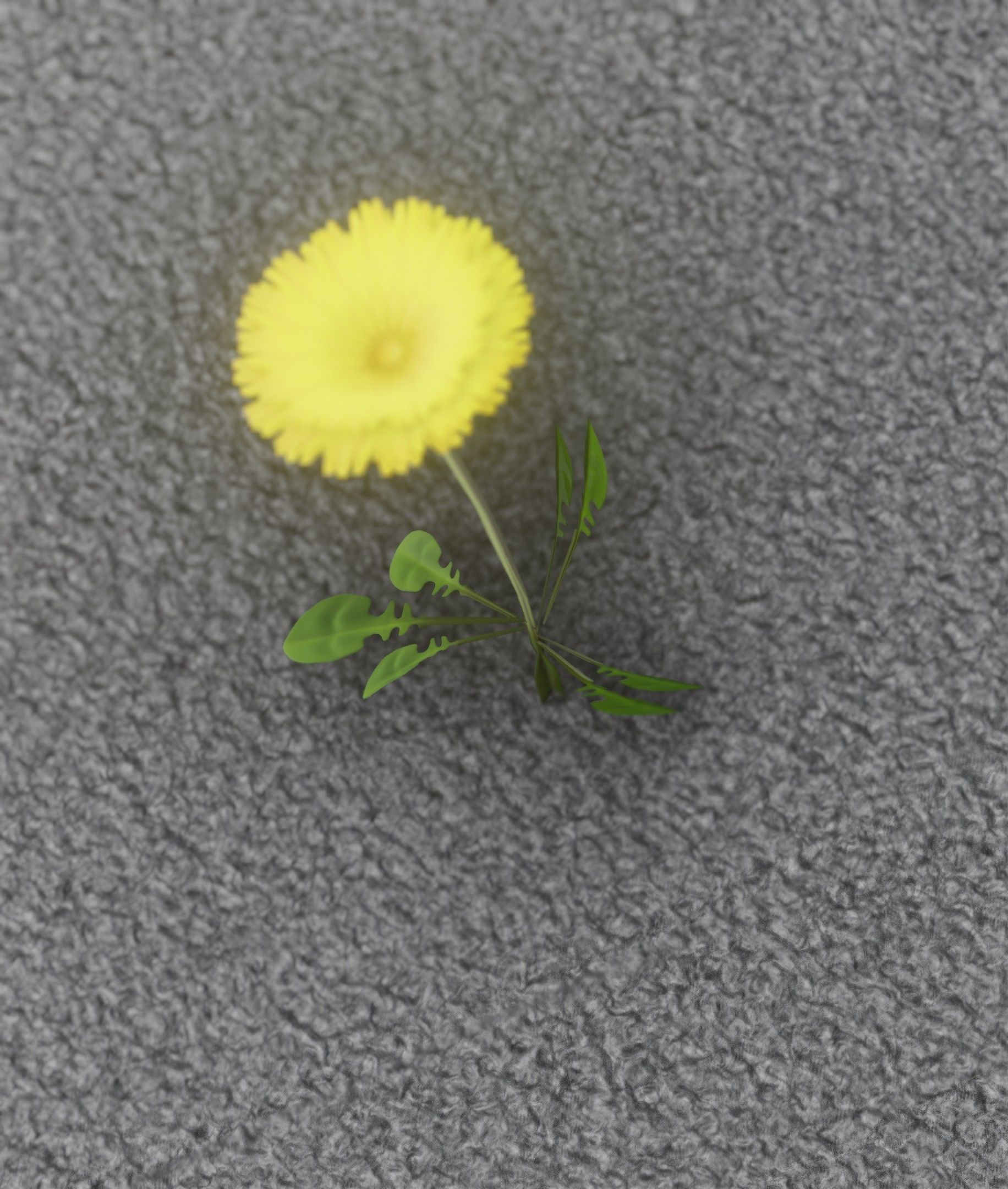 Low-Poly Dandelion Flower Version 3 - Object 9 Low-poly 3D model_25