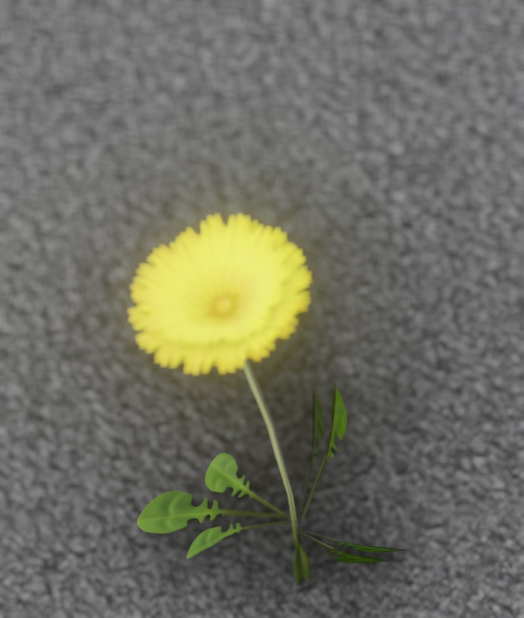 Low-Poly Dandelion Flower Version 3 - Object 9 Low-poly 3D model_9