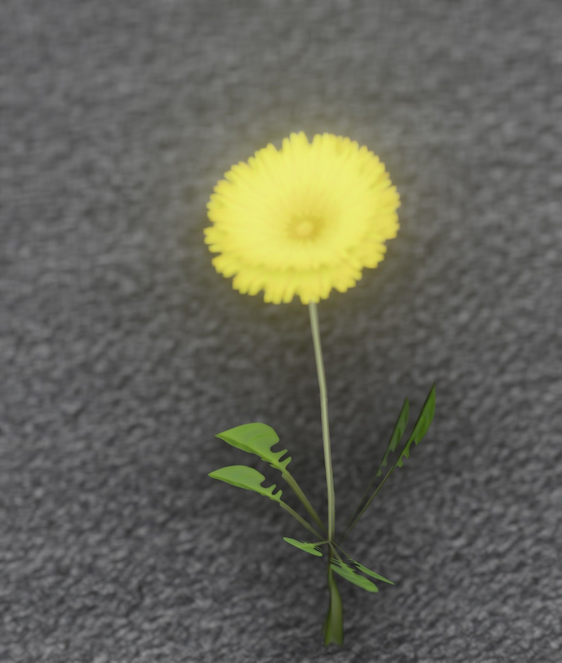 Low-Poly Dandelion Flower Version 3 - Object 9 Low-poly 3D model_6