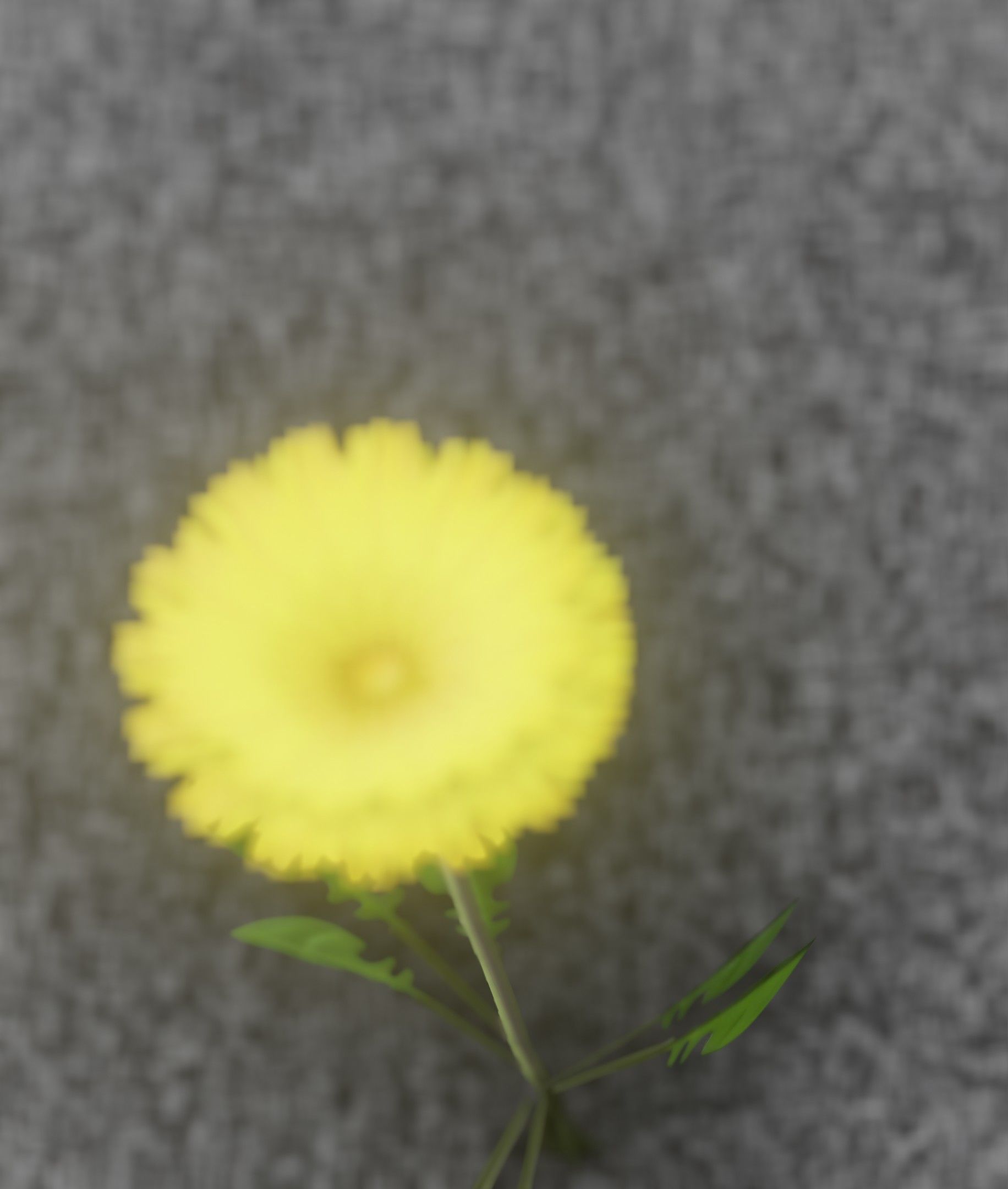 Low-Poly Dandelion Flower Version 3 - Object 9 Low-poly 3D model_11