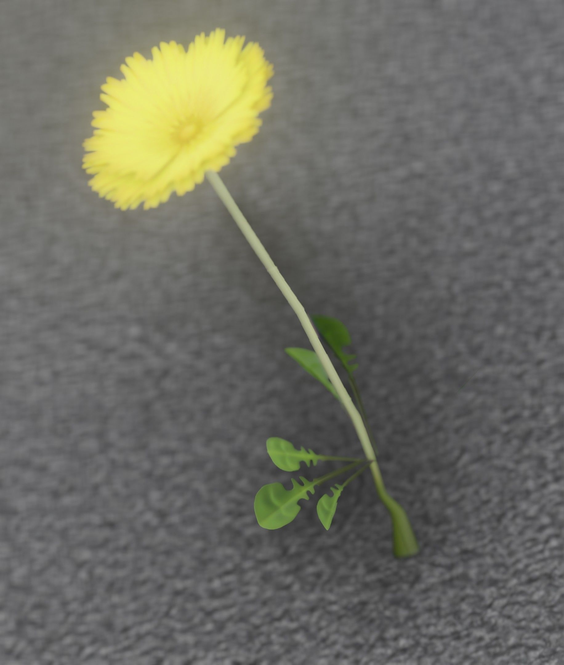 Low-Poly Dandelion Flower Version 3 - Object 9 Low-poly 3D model_23