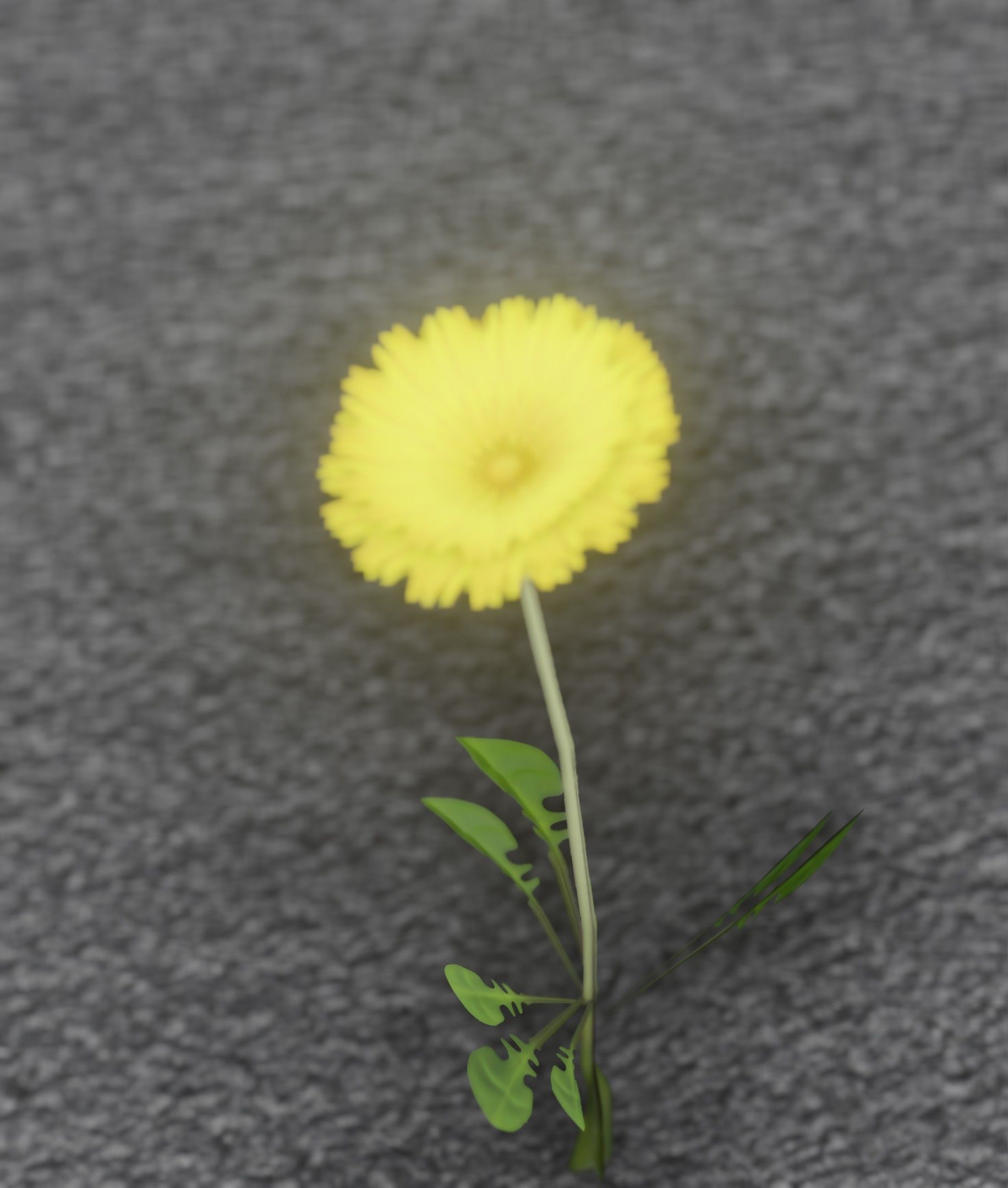 Low-Poly Dandelion Flower Version 3 - Object 9 Low-poly 3D model_7