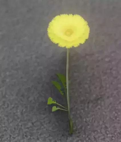 Low-Poly Dandelion Flower Version 3 - Object 9 Low-poly 3D model Low-Poly Dandelion Flower Version 3 - Object 9 Low-poly 3D model