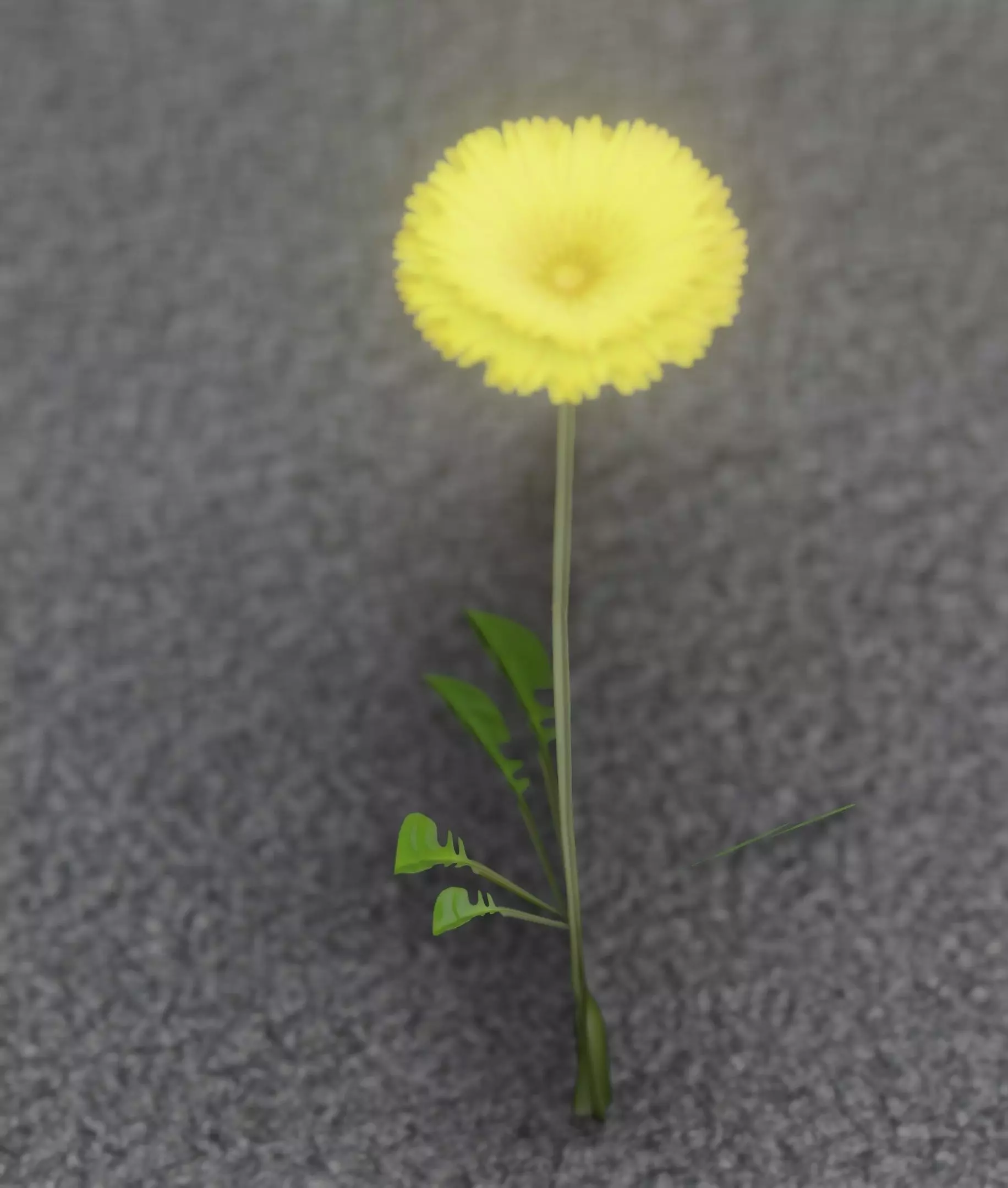 Low-Poly Dandelion Flower Version 3 - Object 9 Low-poly 3D model_0