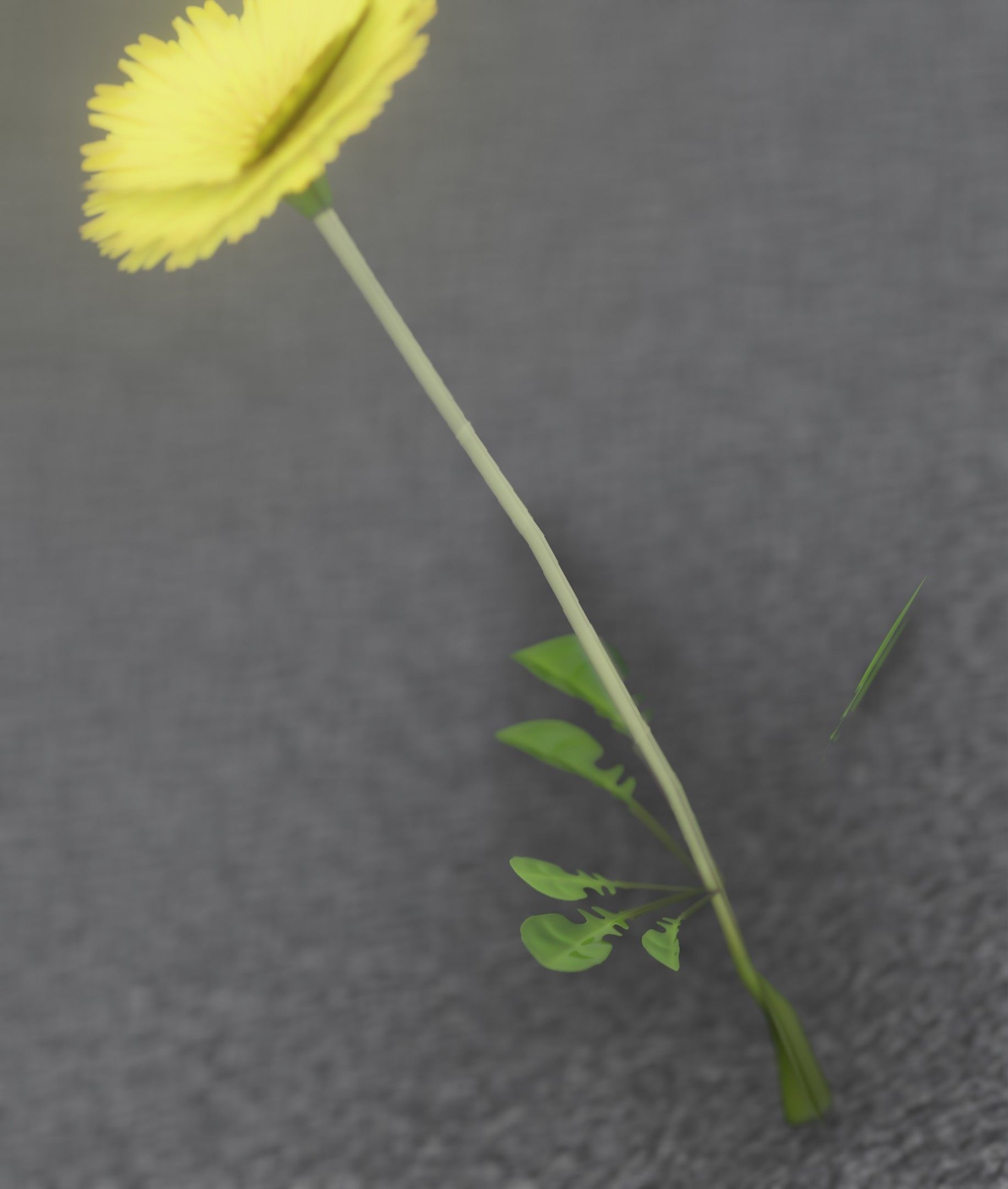 Low-Poly Dandelion Flower Version 3 - Object 9 Low-poly 3D model_22