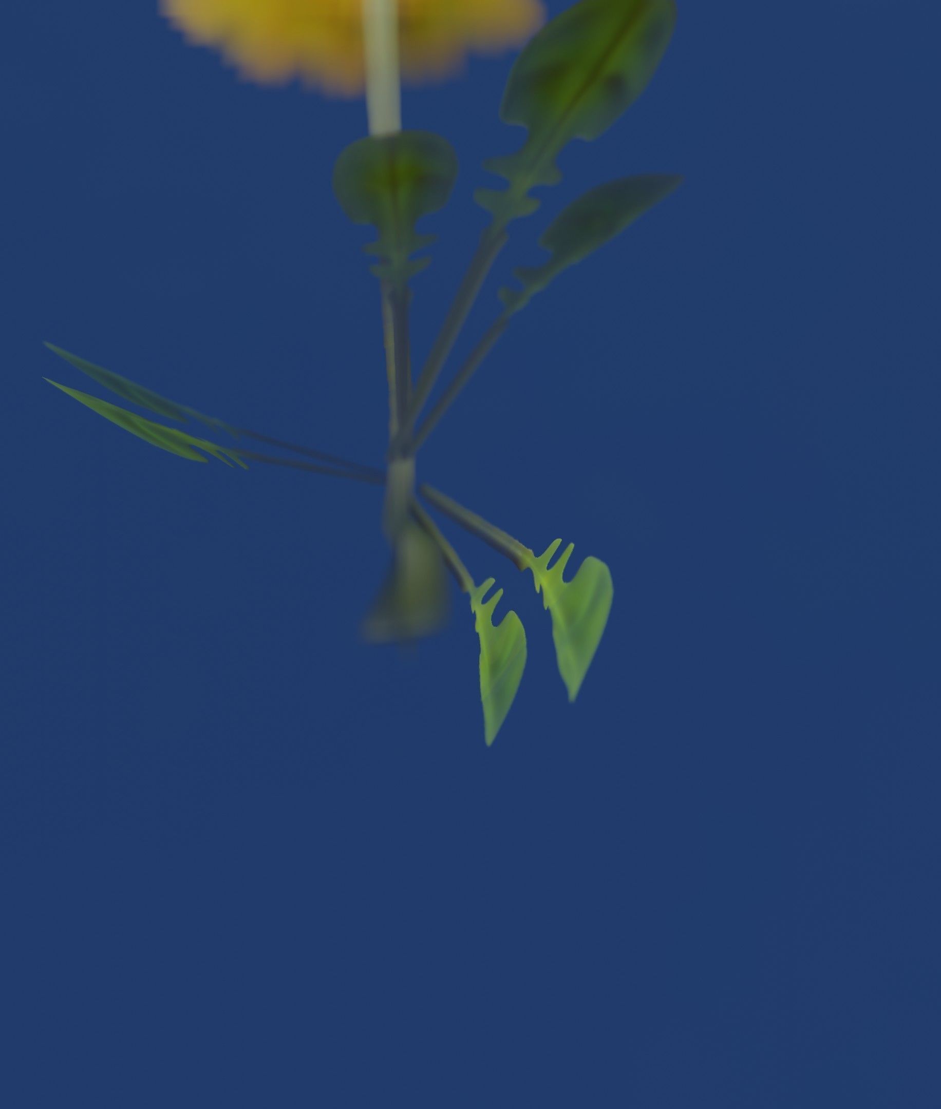 Low-Poly Dandelion Flower Version 3 - Object 9 Low-poly 3D model_39
