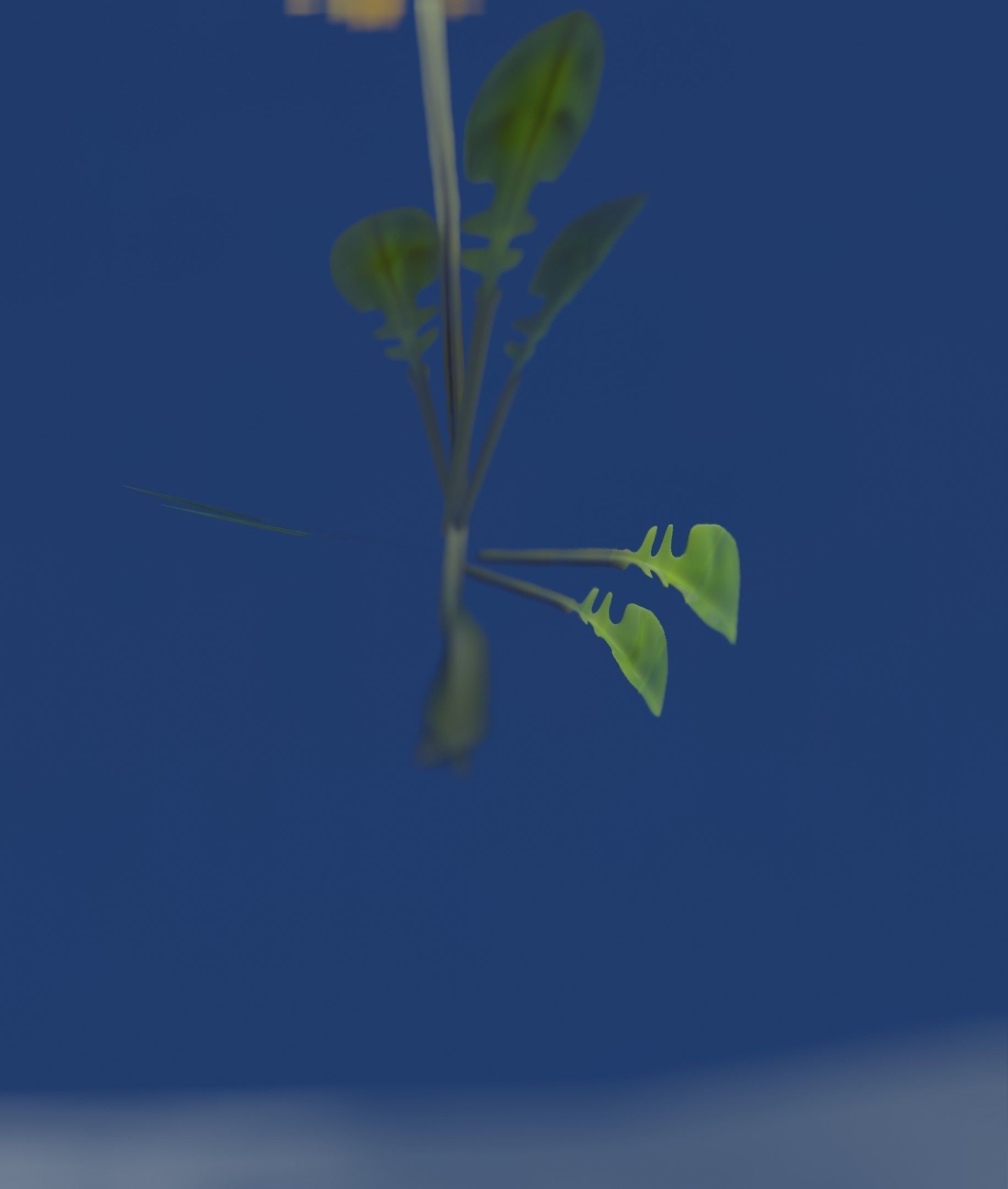 Low-Poly Dandelion Flower Version 3 - Object 9 Low-poly 3D model_40