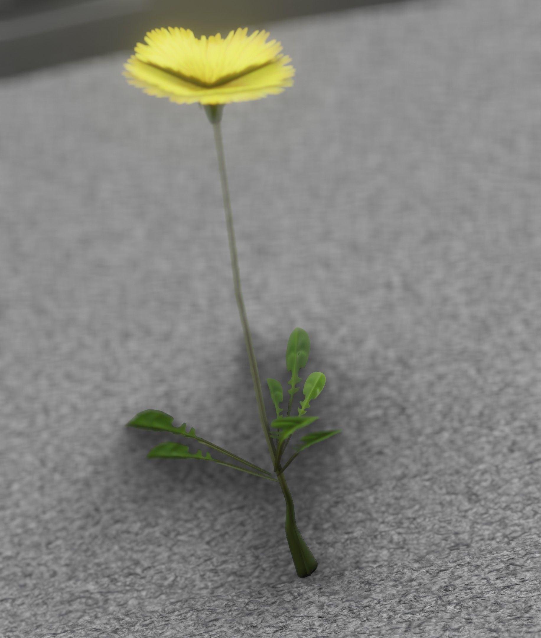 Low-Poly Dandelion Flower Version 3 - Object 9 Low-poly 3D model_32