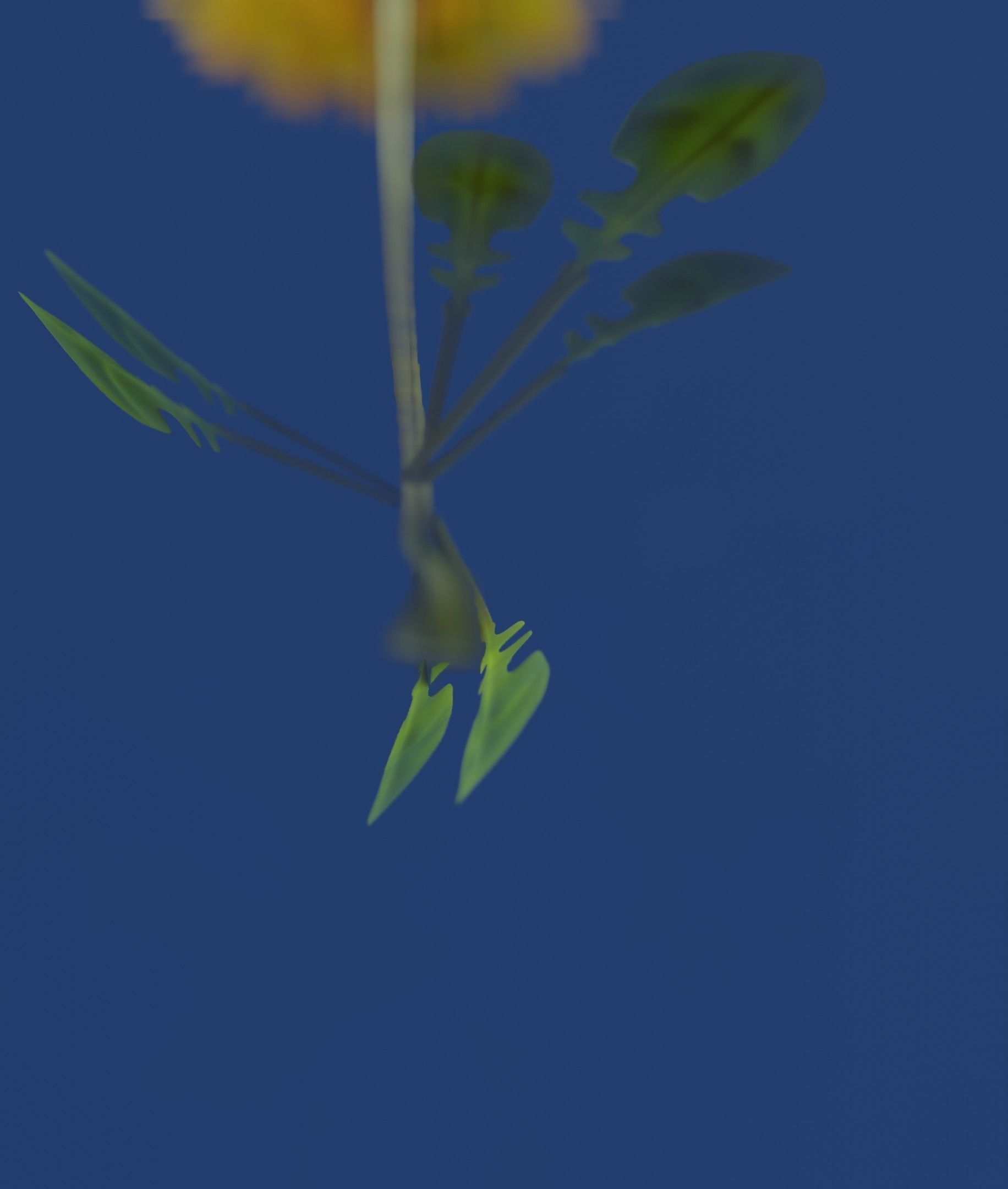 Low-Poly Dandelion Flower Version 3 - Object 9 Low-poly 3D model_38