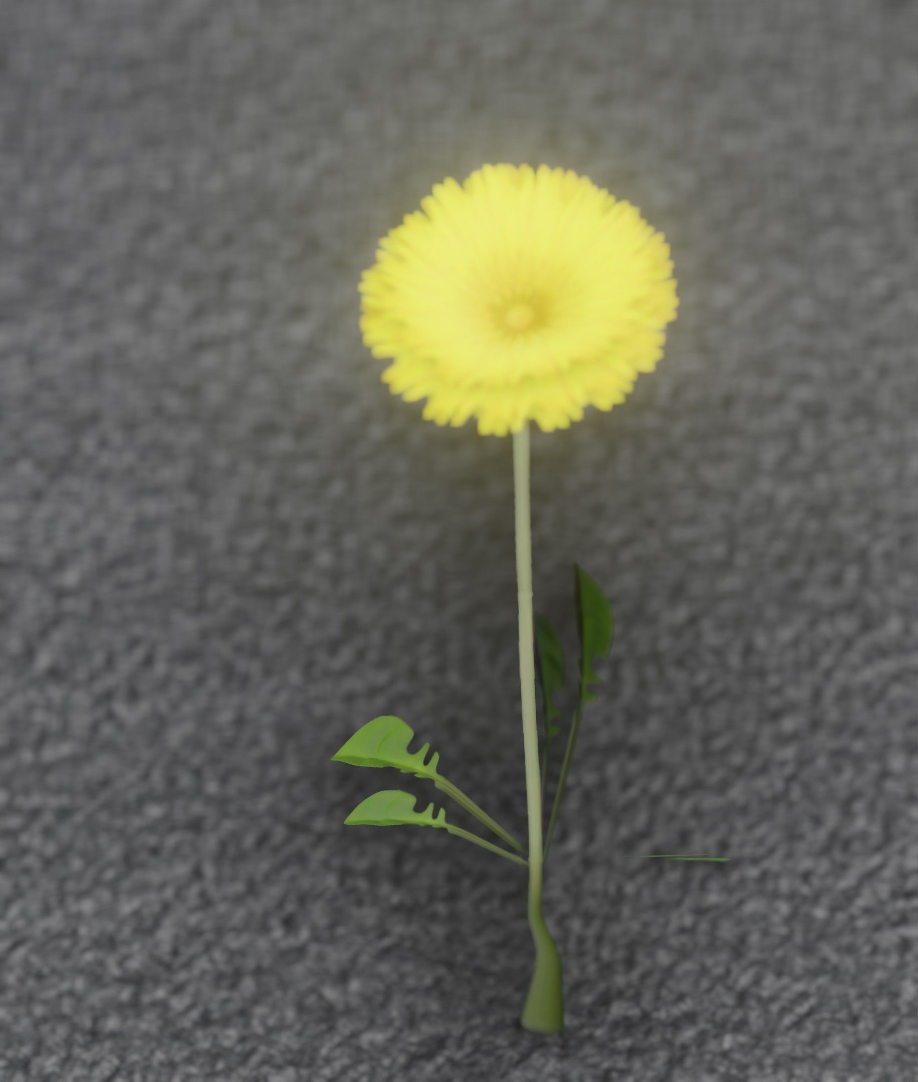 Low-Poly Dandelion Flower Version 3 - Object 9 Low-poly 3D model_5