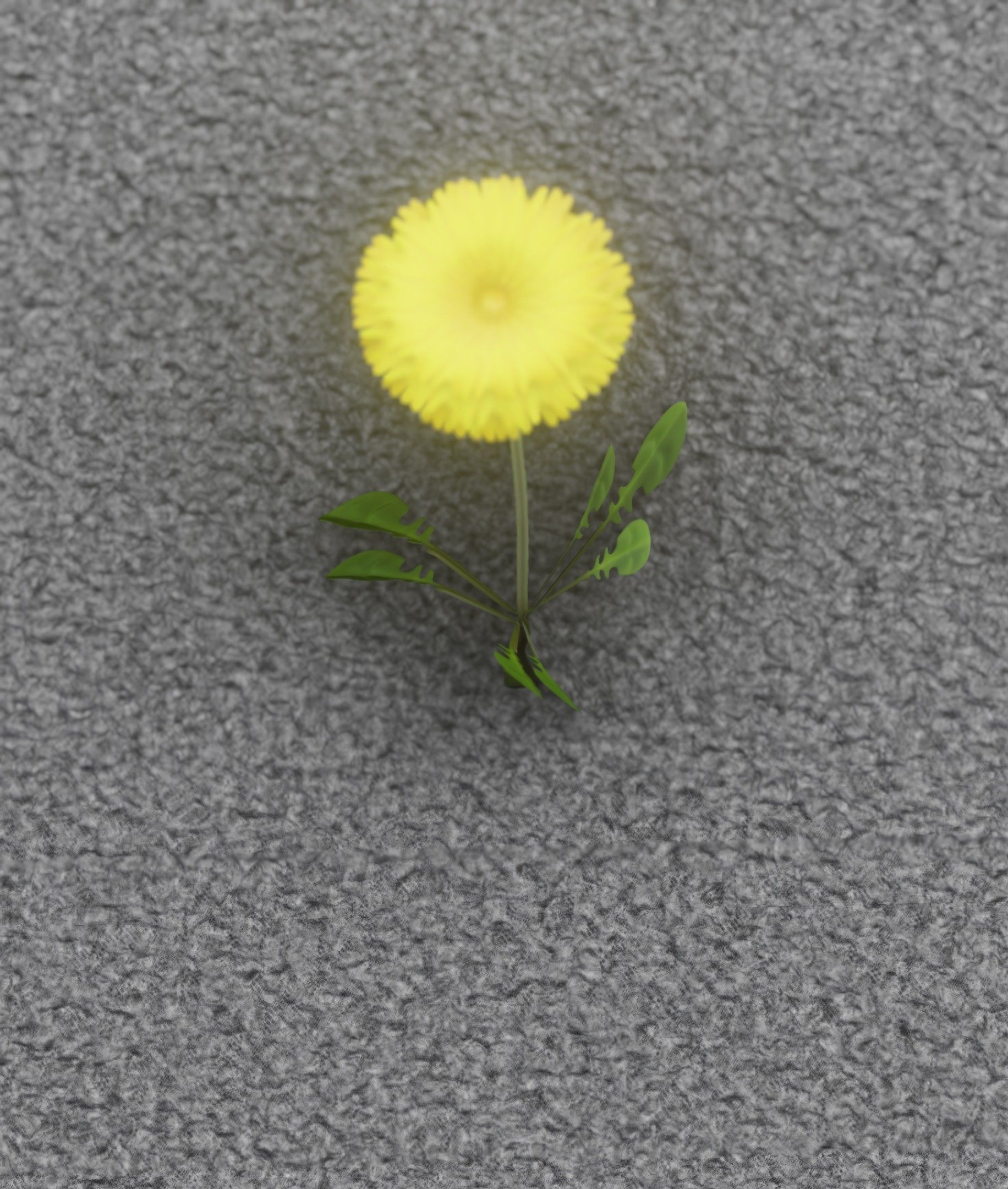 Low-Poly Dandelion Flower Version 4 - Object 10 Low-poly 3D model_26
