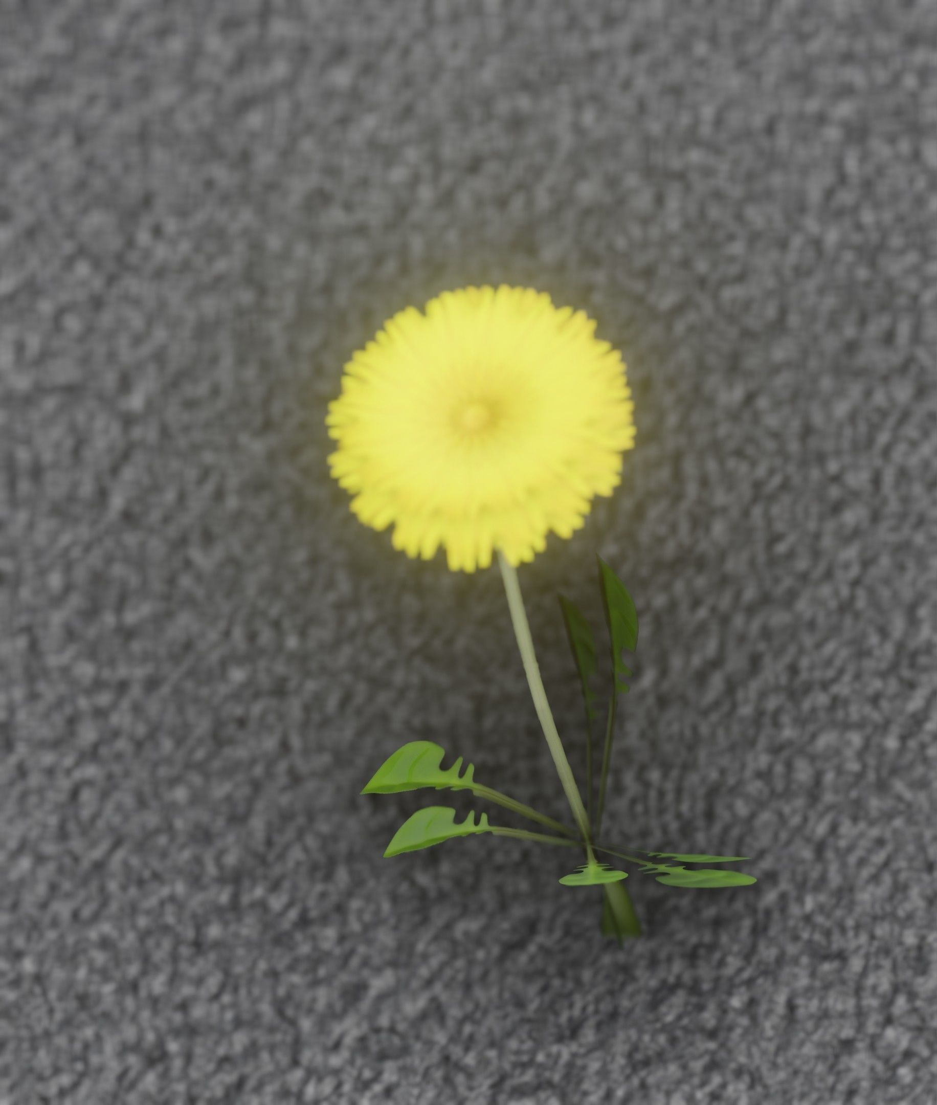Low-Poly Dandelion Flower Version 4 - Object 10 Low-poly 3D model_12