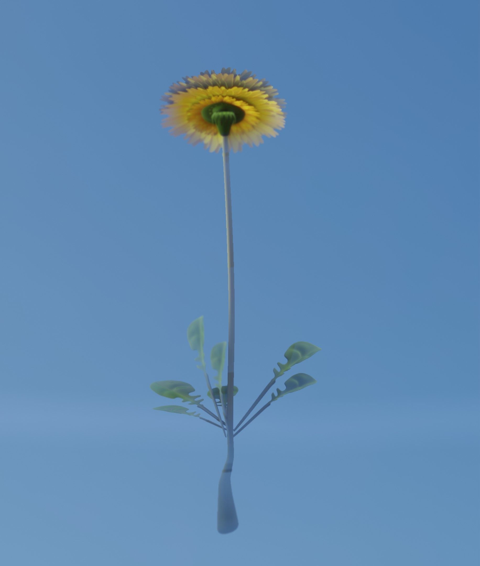 Low-Poly Dandelion Flower Version 4 - Object 10 Low-poly 3D model_36
