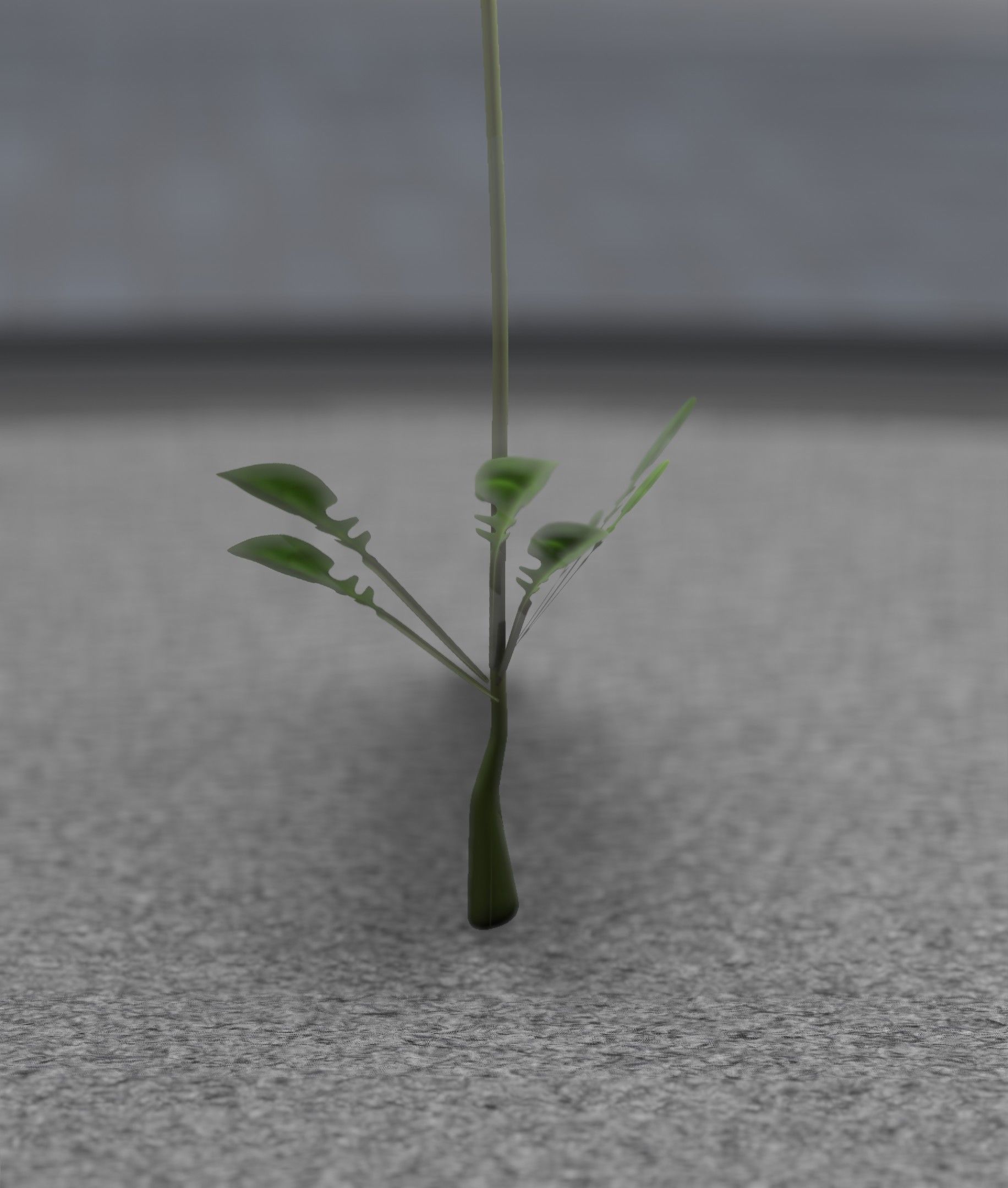 Low-Poly Dandelion Flower Version 4 - Object 10 Low-poly 3D model_39