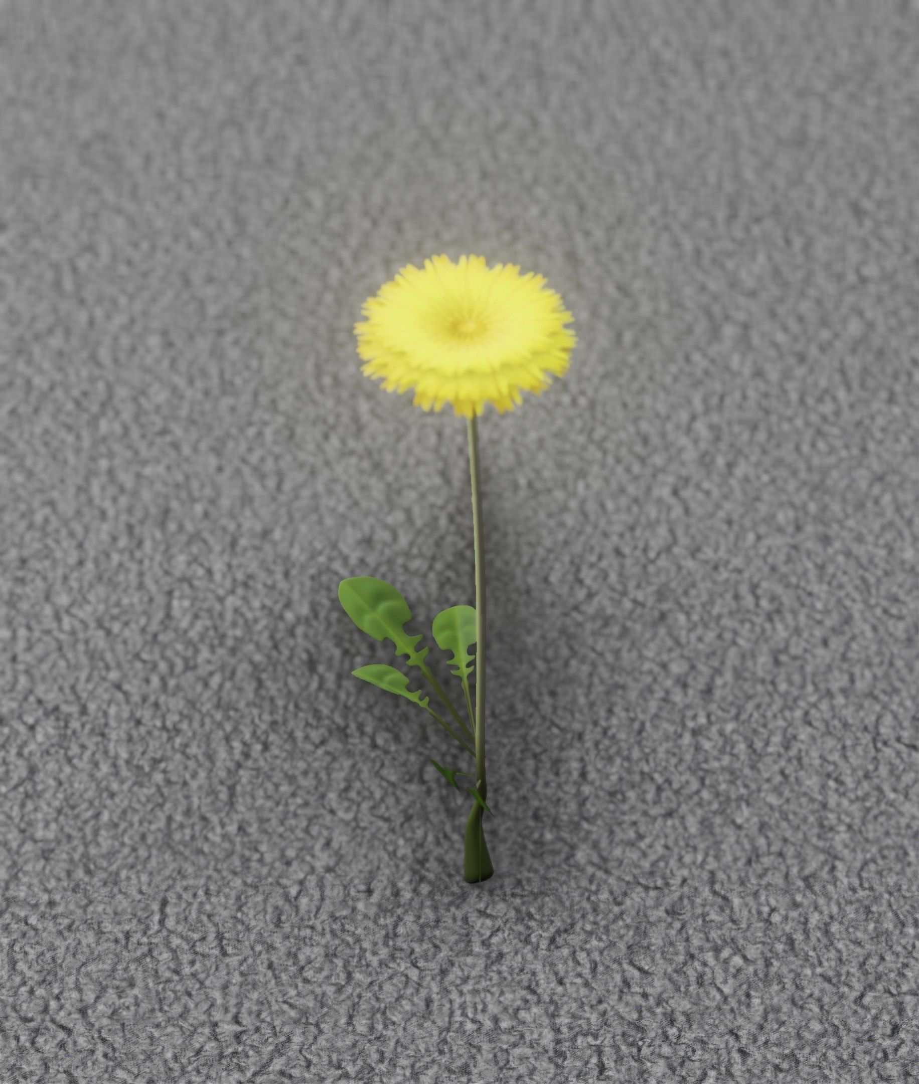 Low-Poly Dandelion Flower Version 4 - Object 10 Low-poly 3D model_2