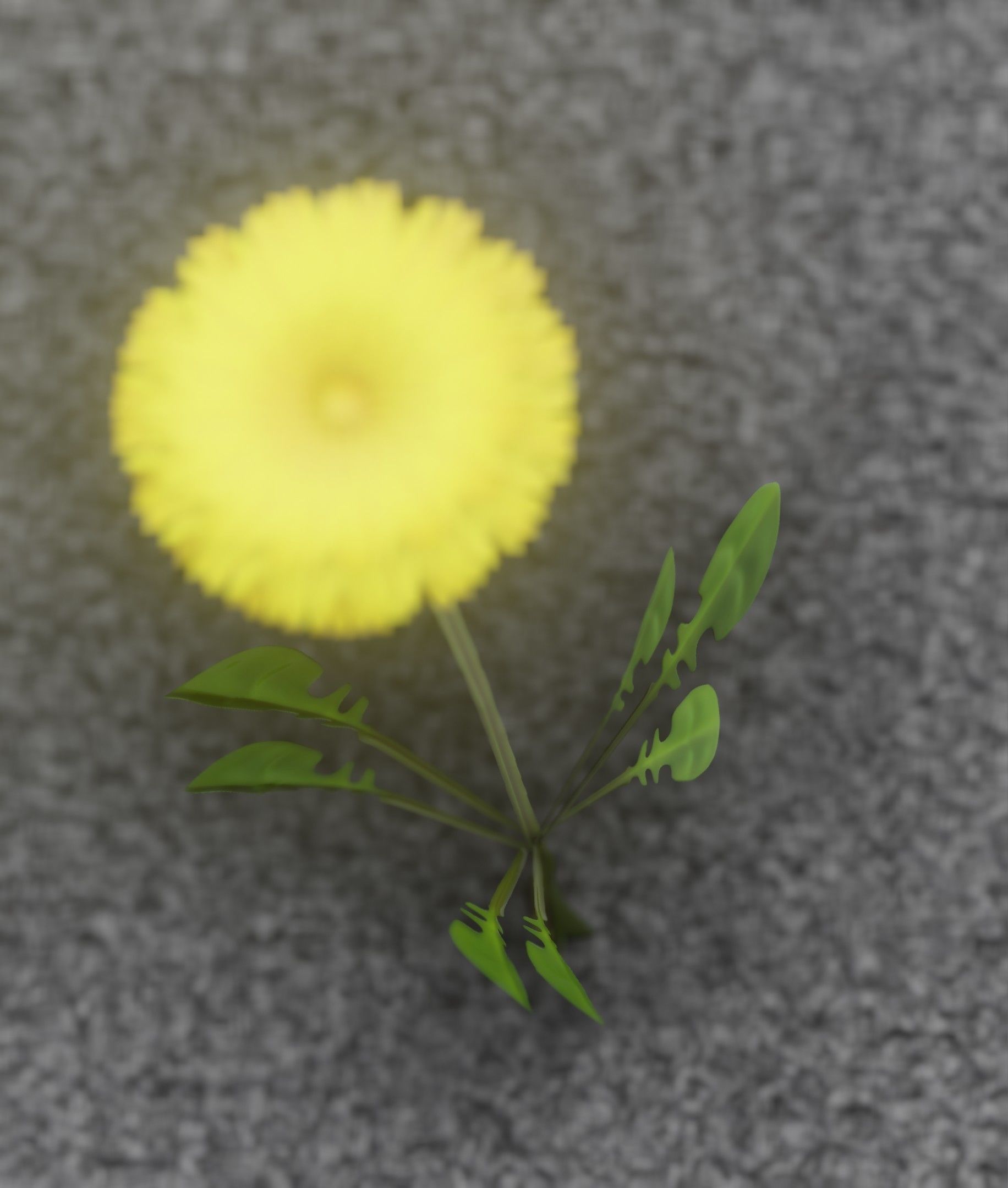 Low-Poly Dandelion Flower Version 4 - Object 10 Low-poly 3D model_7