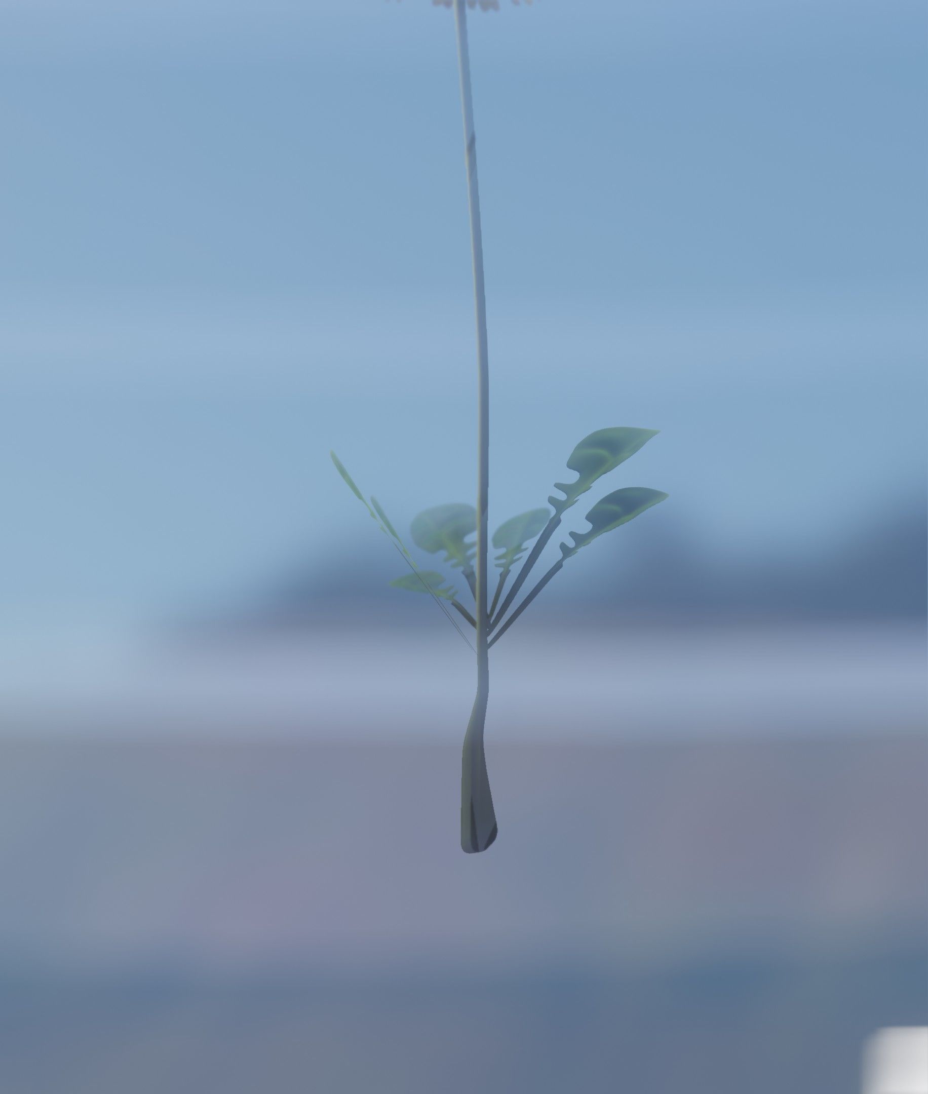 Low-Poly Dandelion Flower Version 4 - Object 10 Low-poly 3D model_37