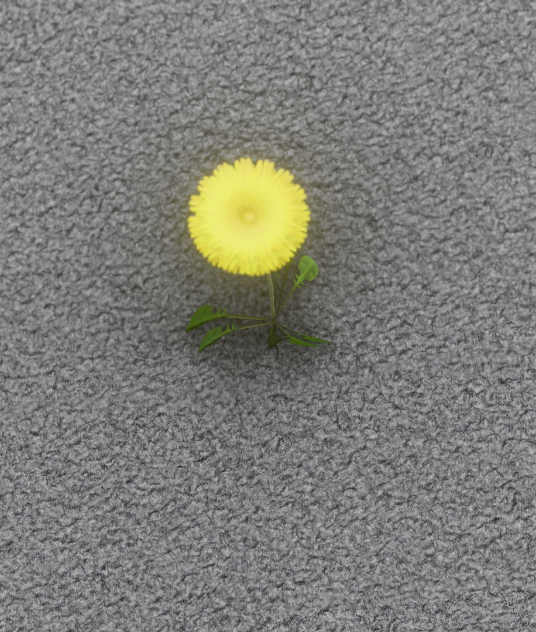 Low-Poly Dandelion Flower Version 4 - Object 10 Low-poly 3D model_24