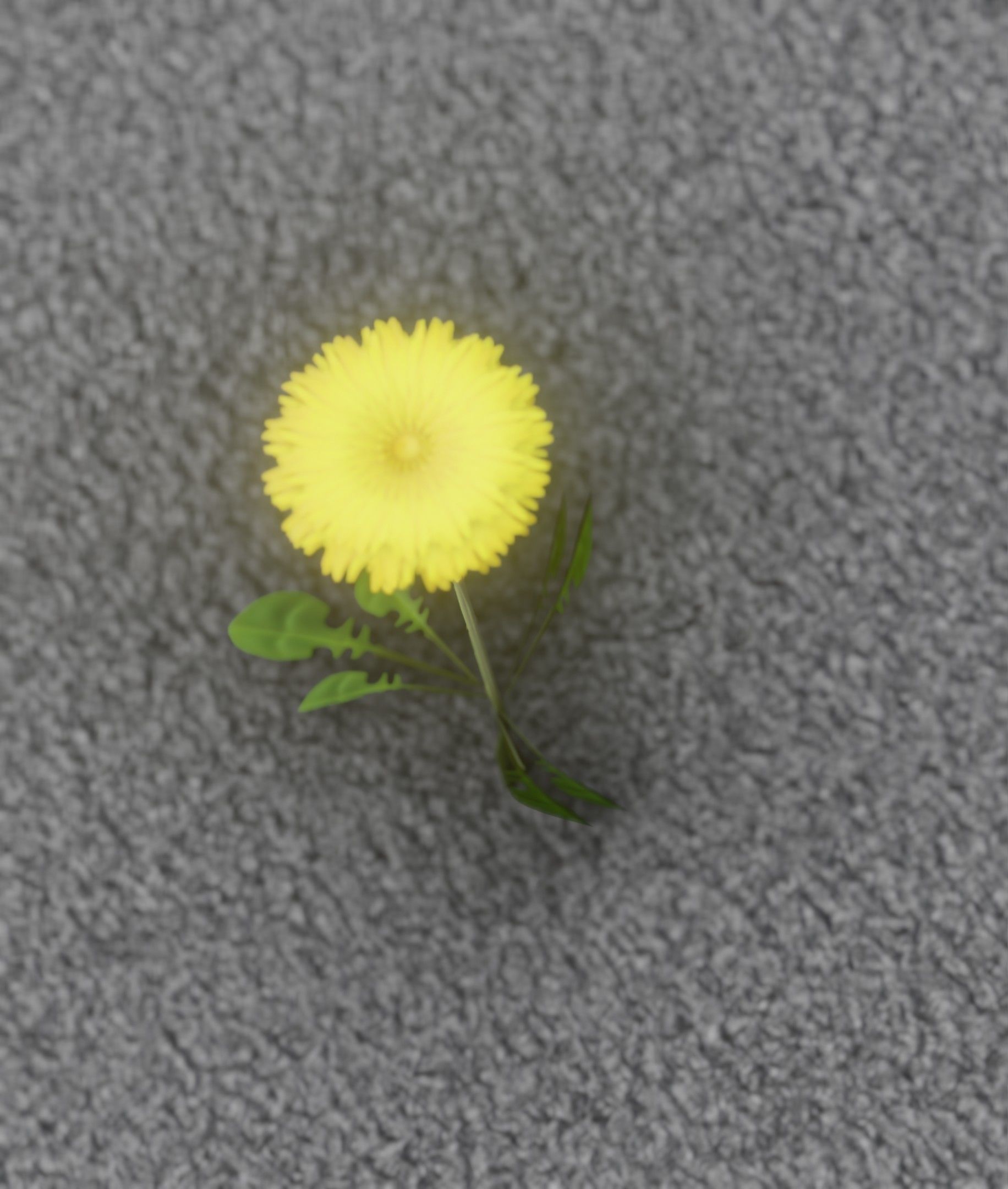 Low-Poly Dandelion Flower Version 4 - Object 10 Low-poly 3D model_4