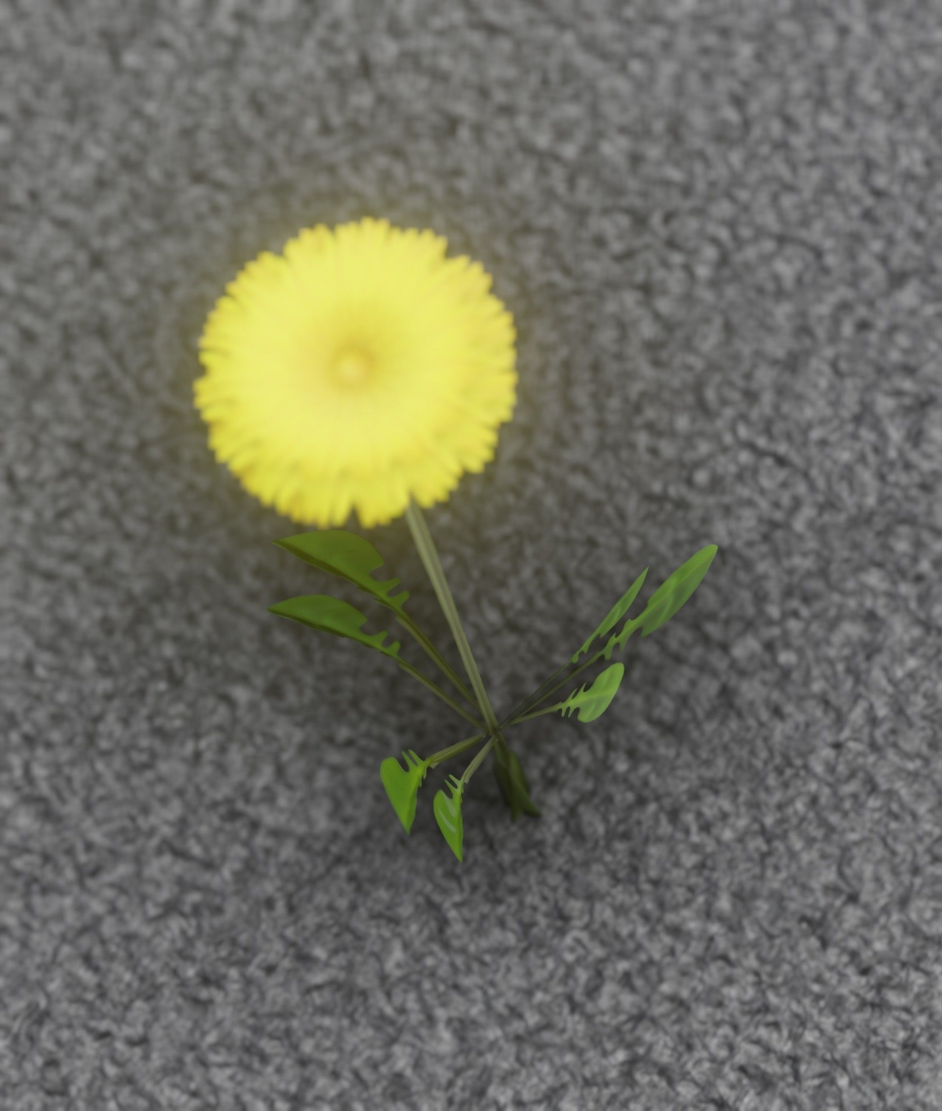 Low-Poly Dandelion Flower Version 4 - Object 10 Low-poly 3D model_8
