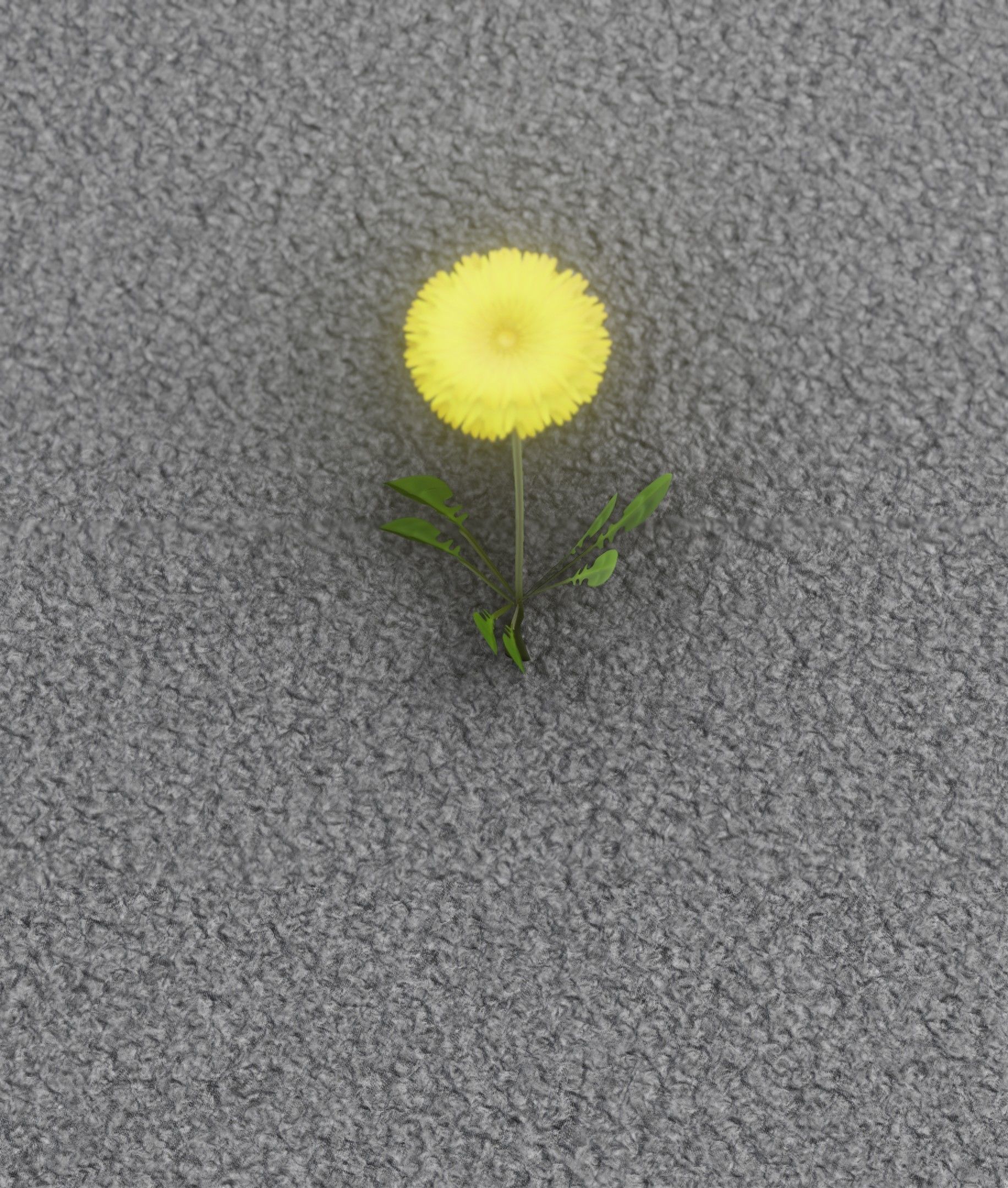 Low-Poly Dandelion Flower Version 4 - Object 10 Low-poly 3D model_27
