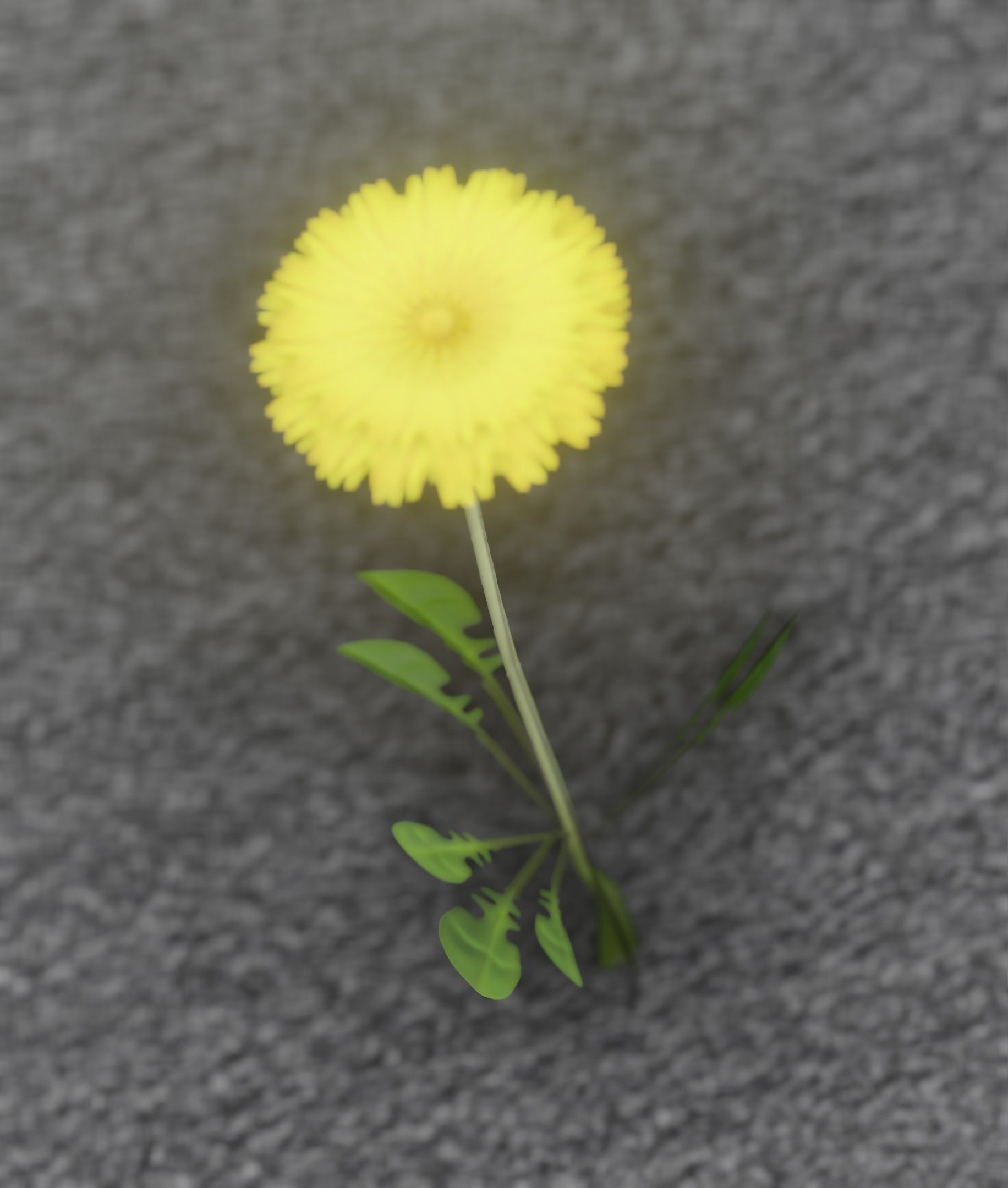 Low-Poly Dandelion Flower Version 4 - Object 10 Low-poly 3D model_15