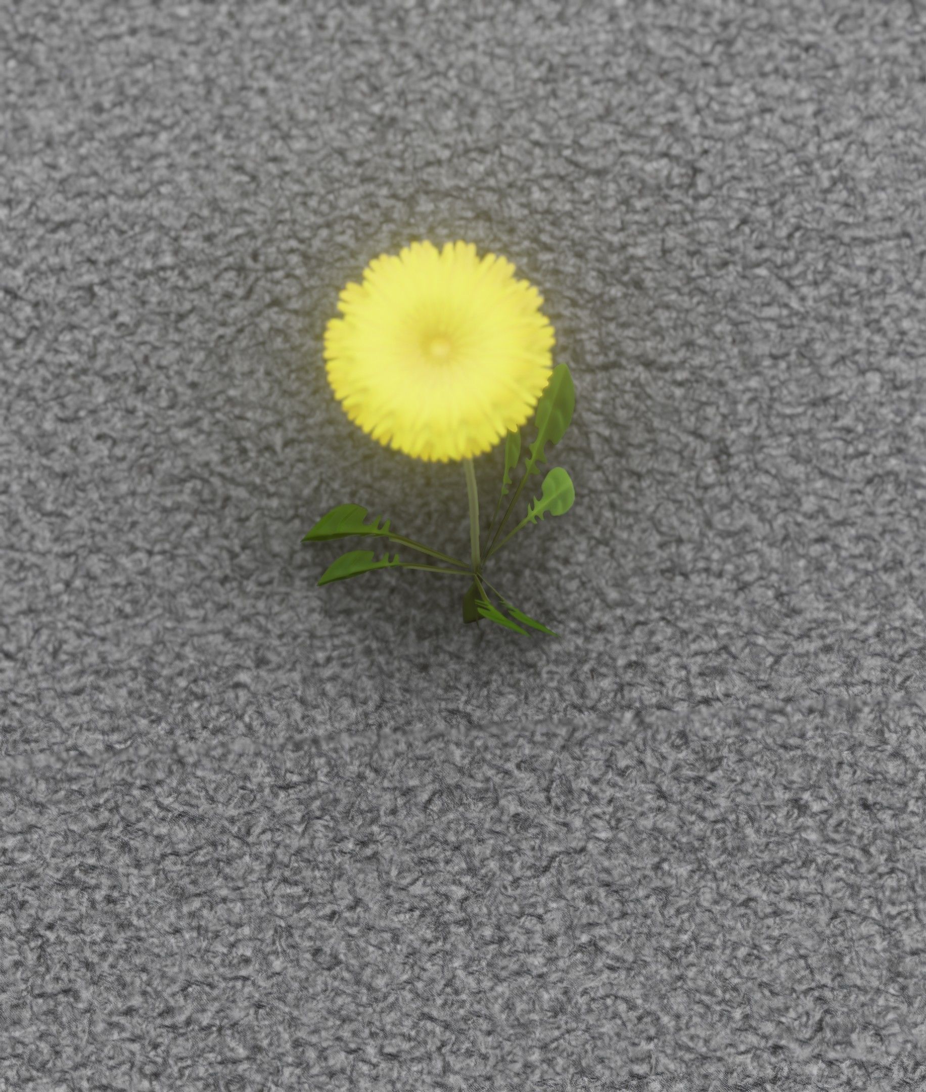Low-Poly Dandelion Flower Version 4 - Object 10 Low-poly 3D model_25