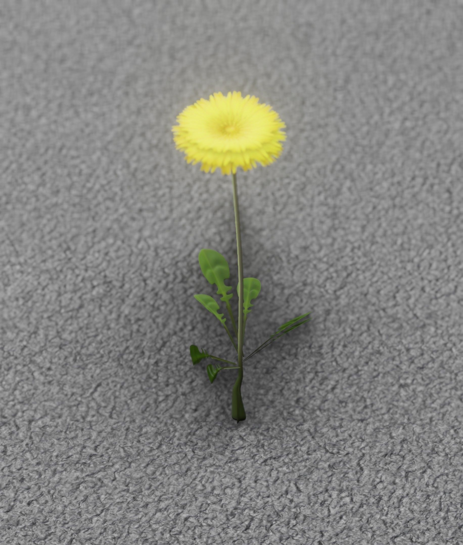 Low-Poly Dandelion Flower Version 4 - Object 10 Low-poly 3D model_48