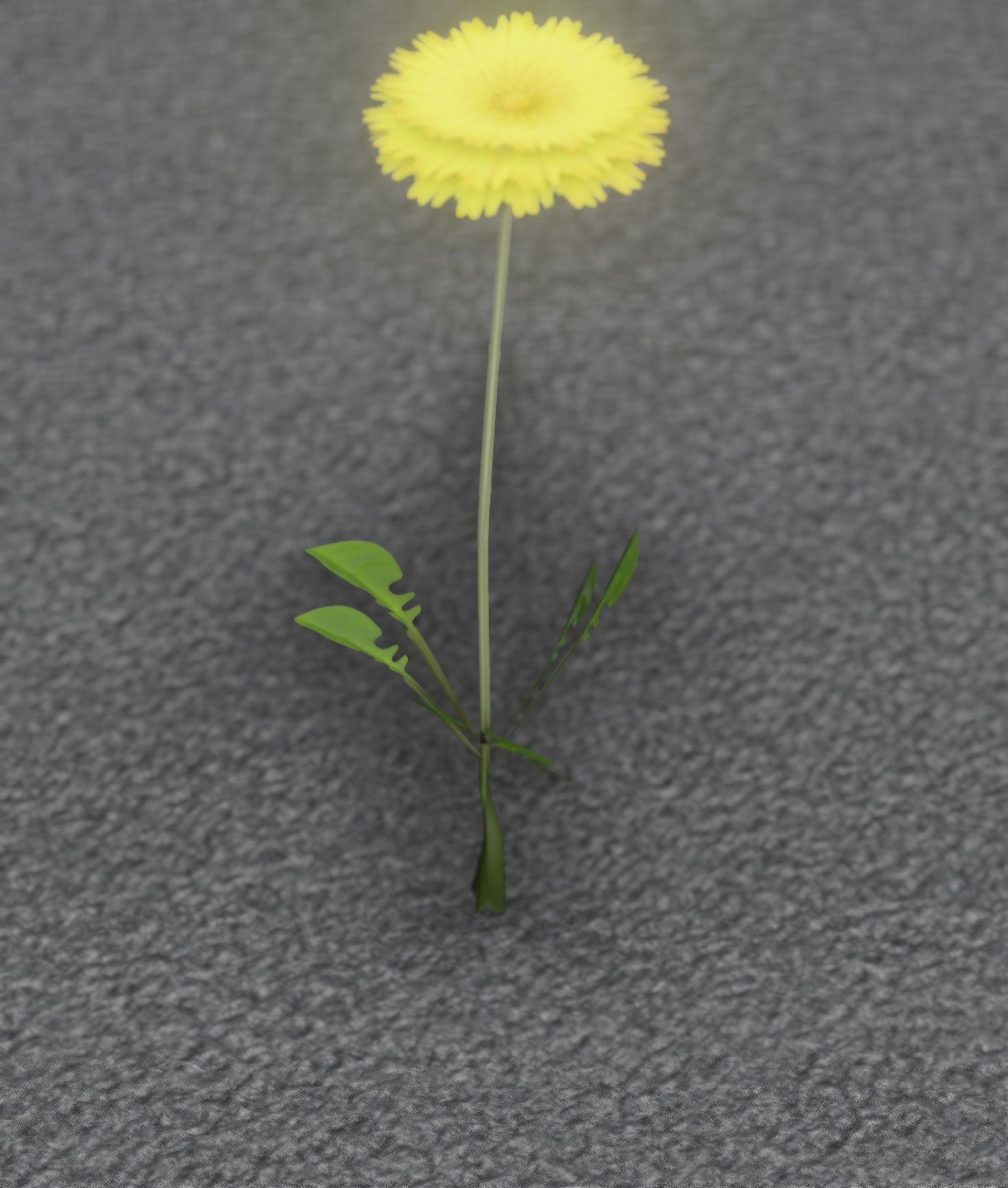 Low-Poly Dandelion Flower Version 4 - Object 10 Low-poly 3D model_43