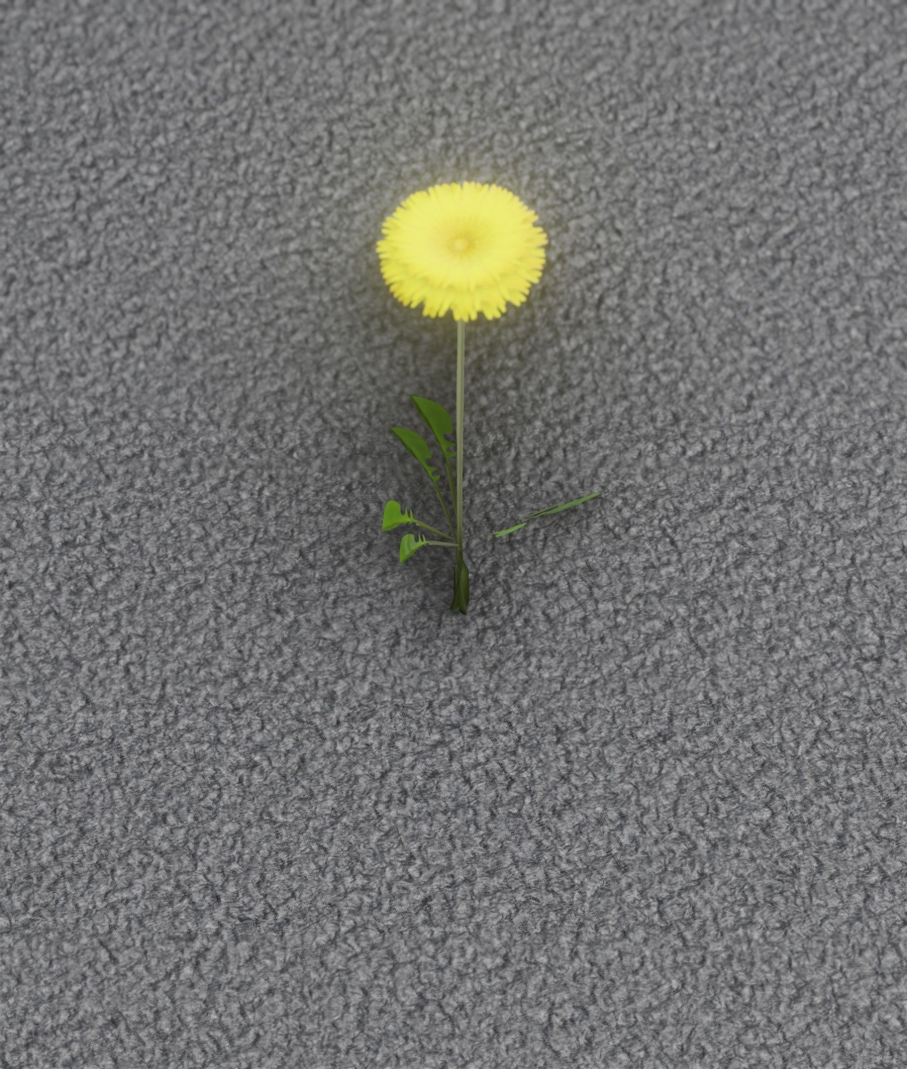 Low-Poly Dandelion Flower Version 4 - Object 10 Low-poly 3D model_28