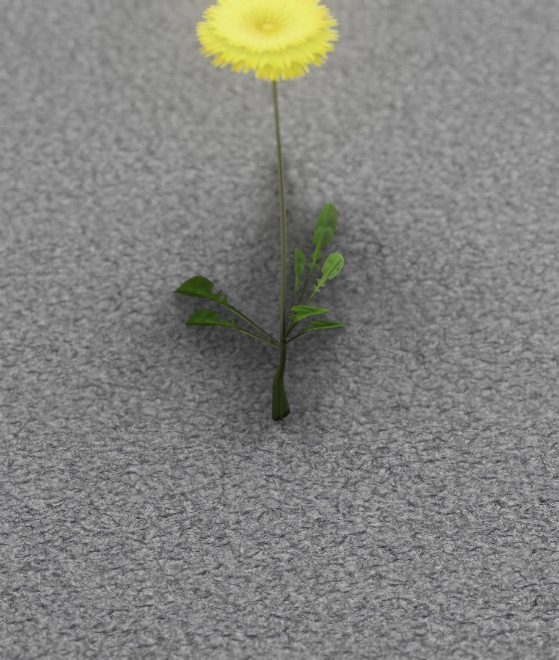 Low-Poly Dandelion Flower Version 4 - Object 10 Low-poly 3D model_50