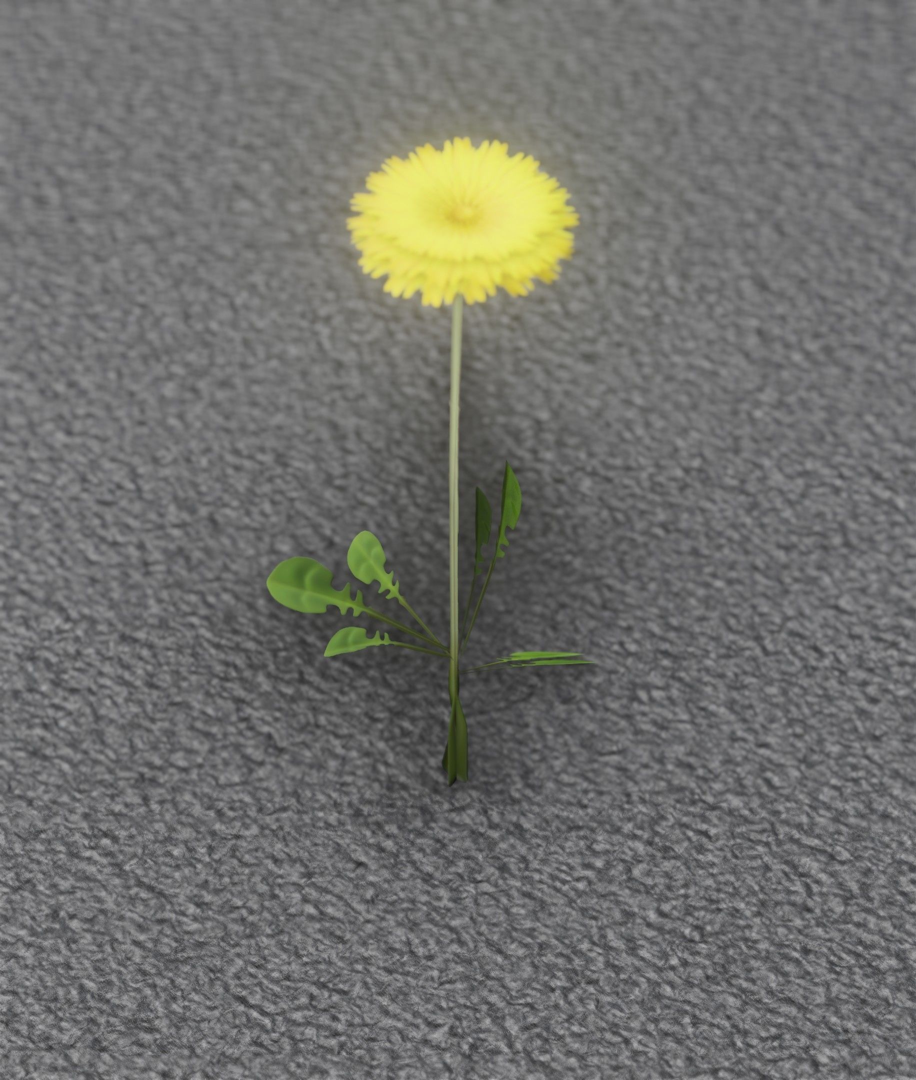 Low-Poly Dandelion Flower Version 4 - Object 10 Low-poly 3D model_46