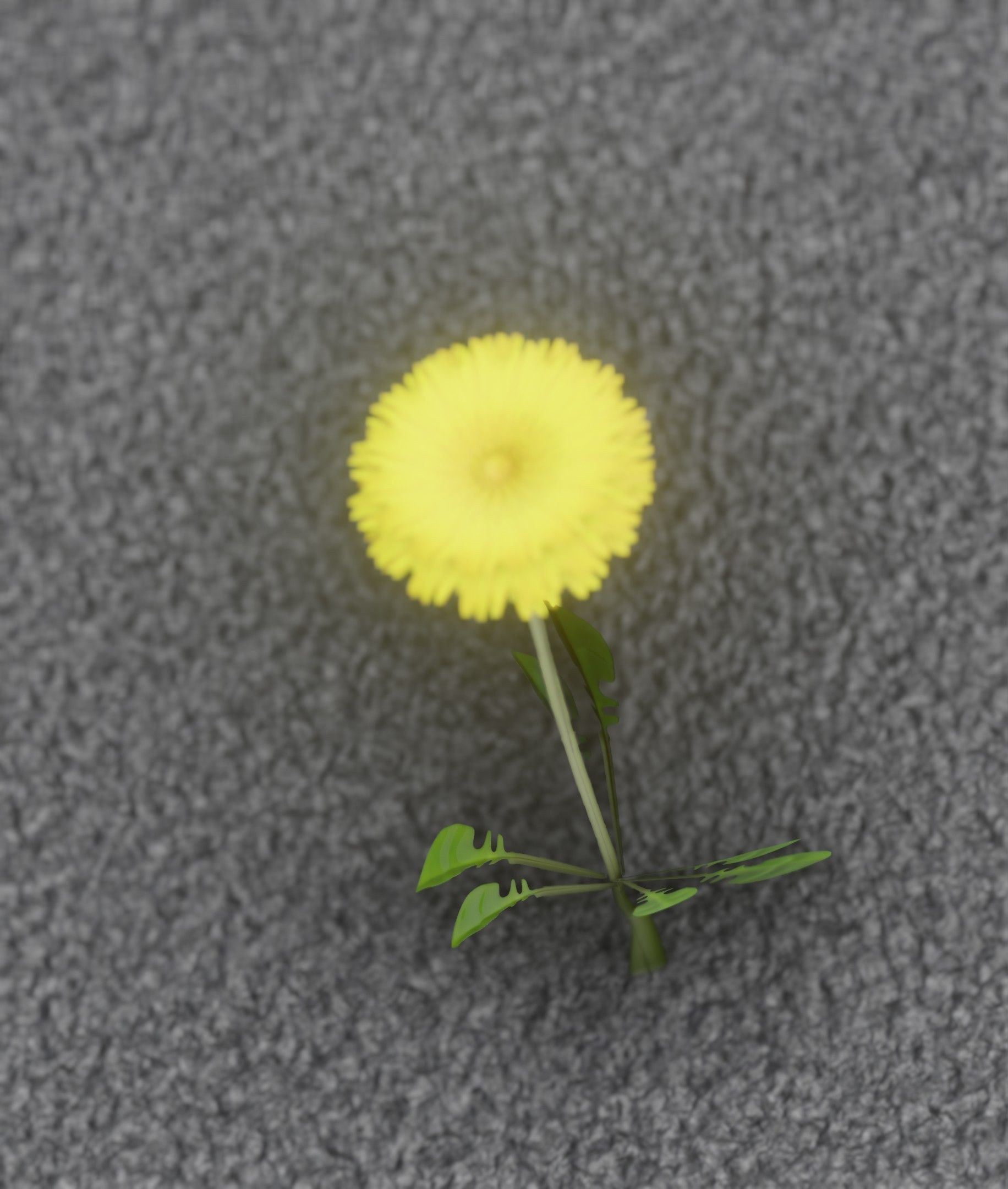 Low-Poly Dandelion Flower Version 4 - Object 10 Low-poly 3D model_11