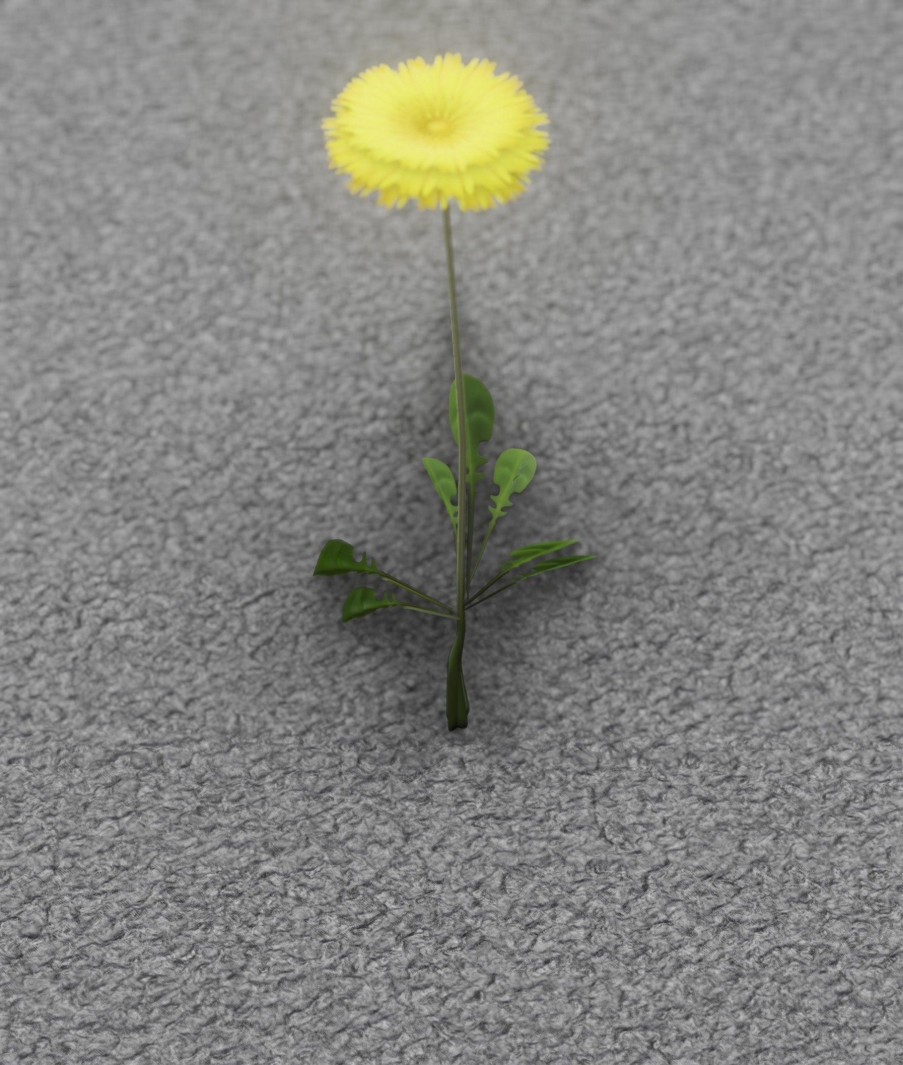 Low-Poly Dandelion Flower Version 4 - Object 10 Low-poly 3D model_49