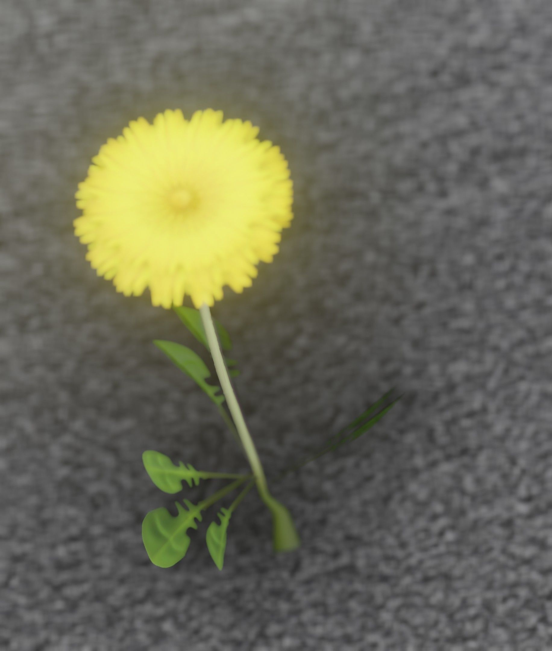 Low-Poly Dandelion Flower Version 4 - Object 10 Low-poly 3D model_16