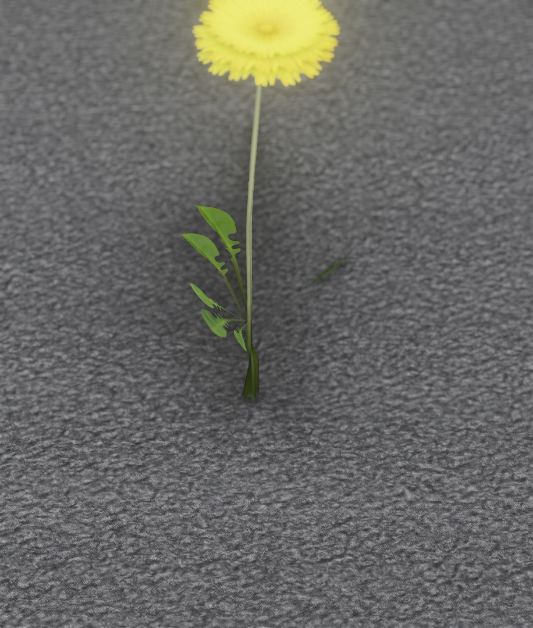 Low-Poly Dandelion Flower Version 4 - Object 10 Low-poly 3D model_44