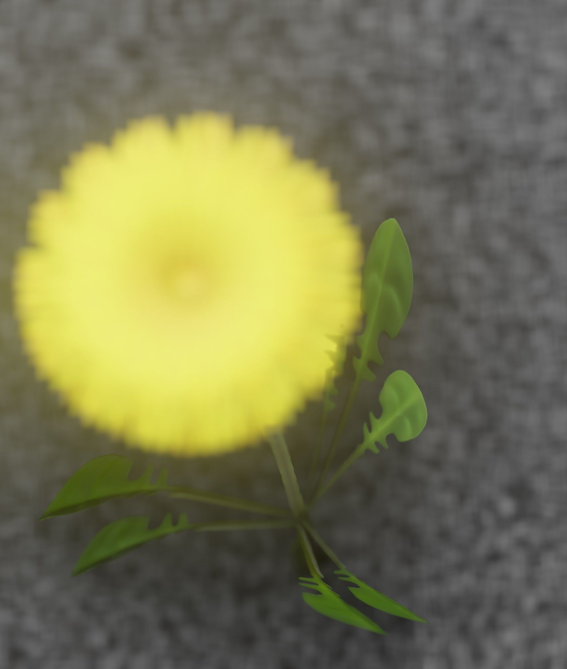 Low-Poly Dandelion Flower Version 4 - Object 10 Low-poly 3D model_6