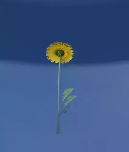 Low-Poly Dandelion Flower Version 4 - Object 10 Low-poly 3D model Low-Poly Dandelion Flower Version 4 - Object 10 Low-poly 3D model