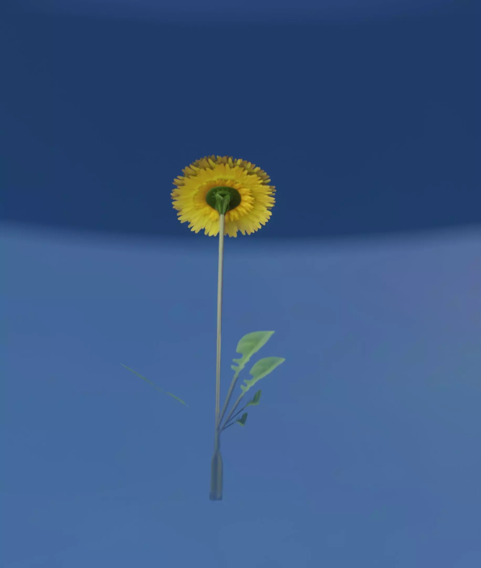 Low-Poly Dandelion Flower Version 4 - Object 10 Low-poly 3D model_0